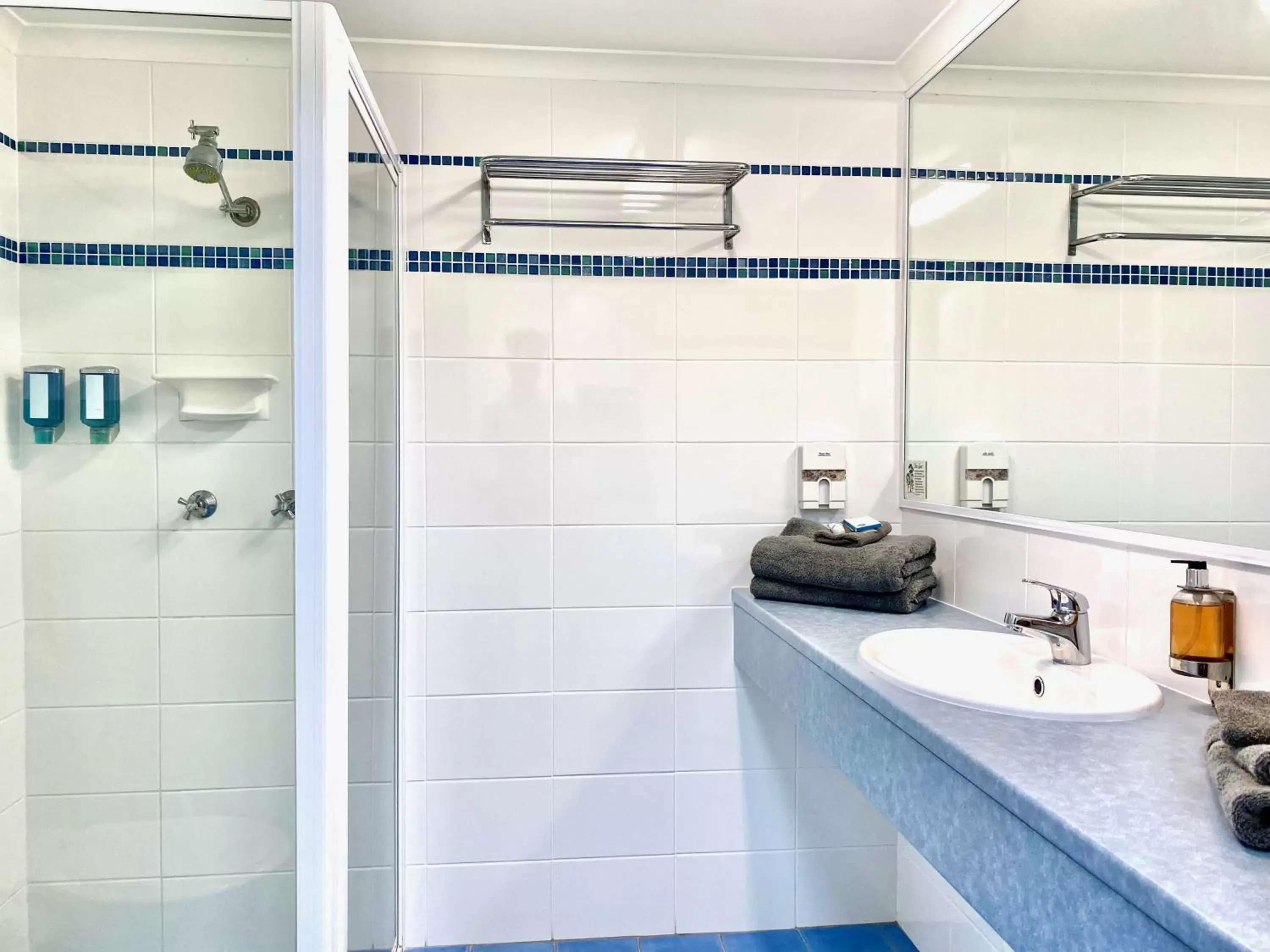 Shower, Bathroom in Pelican Motor Inn