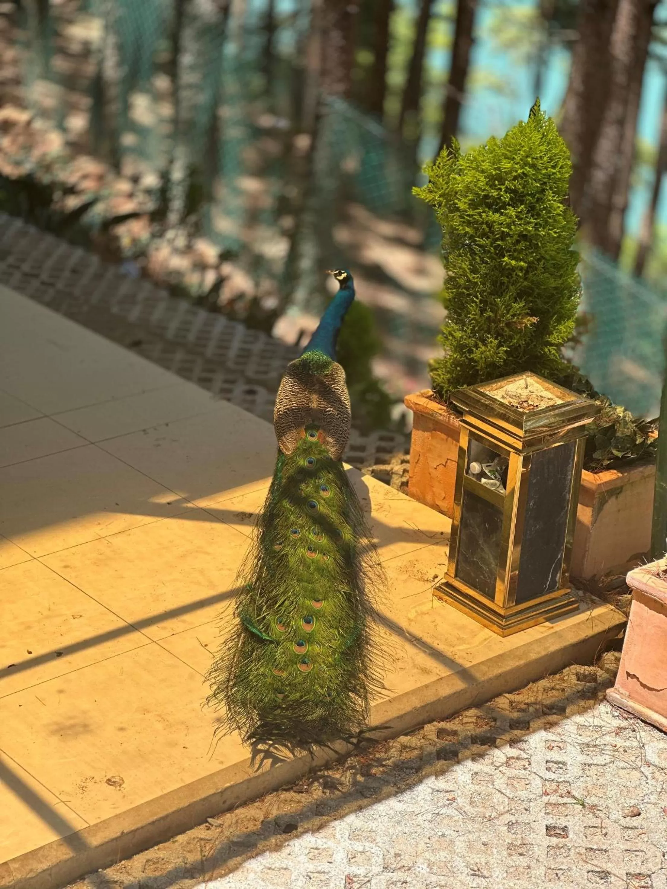 Property building in Dalat Edensee Lake Resort & Spa