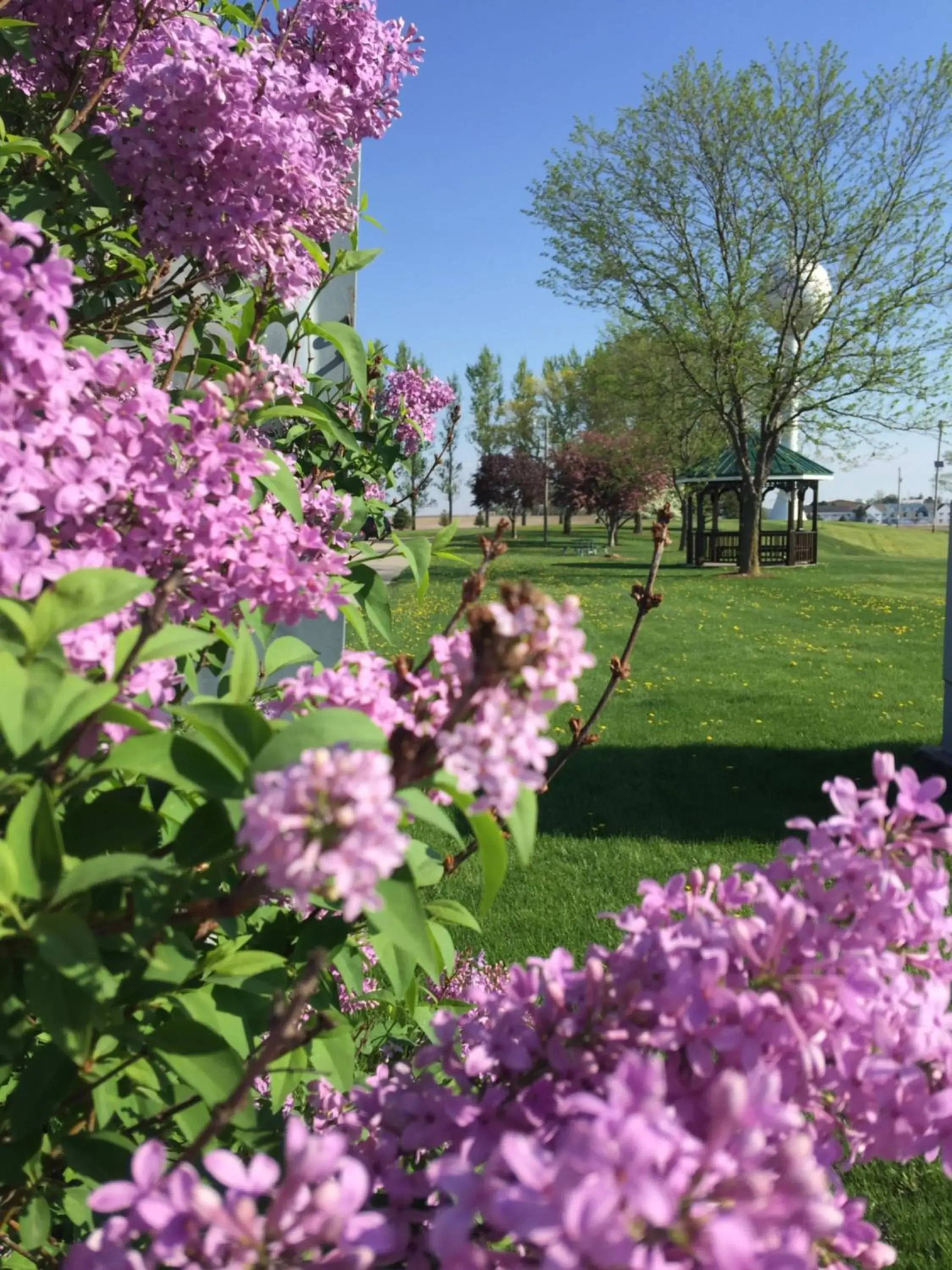 Garden in Crest Country Inn