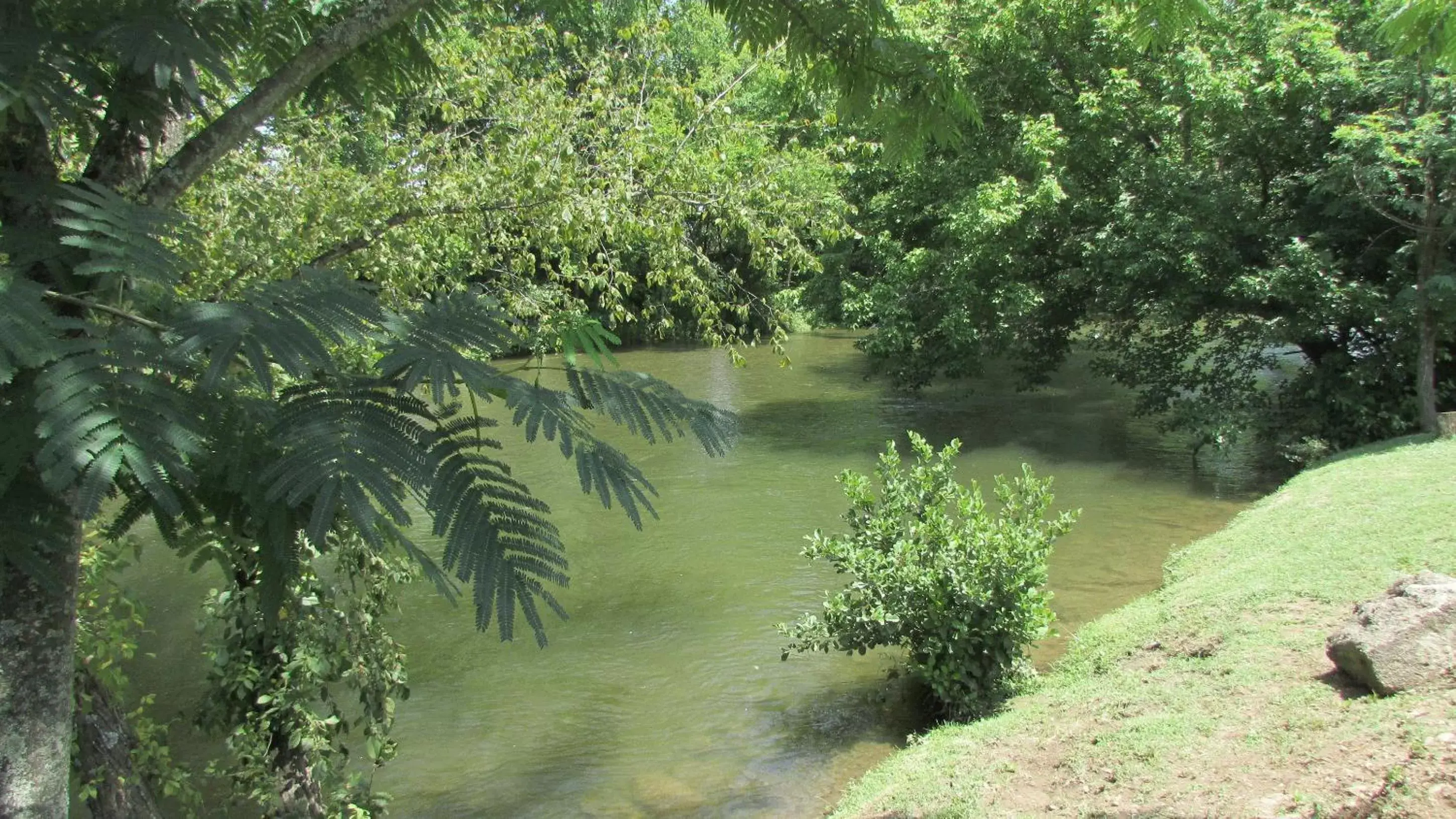 River view in Arbors at Island Landing Hotel & Suites