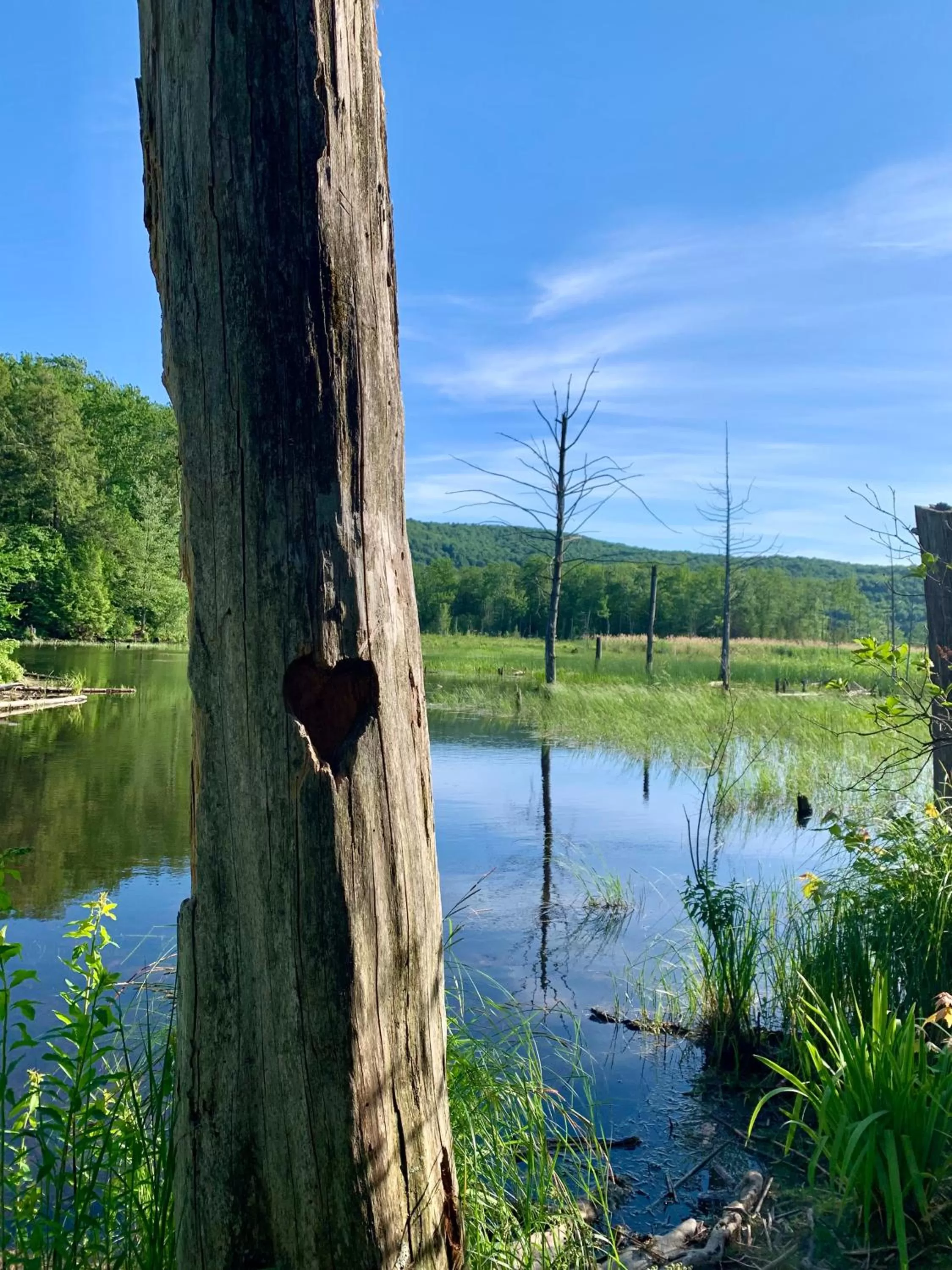 Natural landscape in Au Gré Du Temps - Gîte B&B