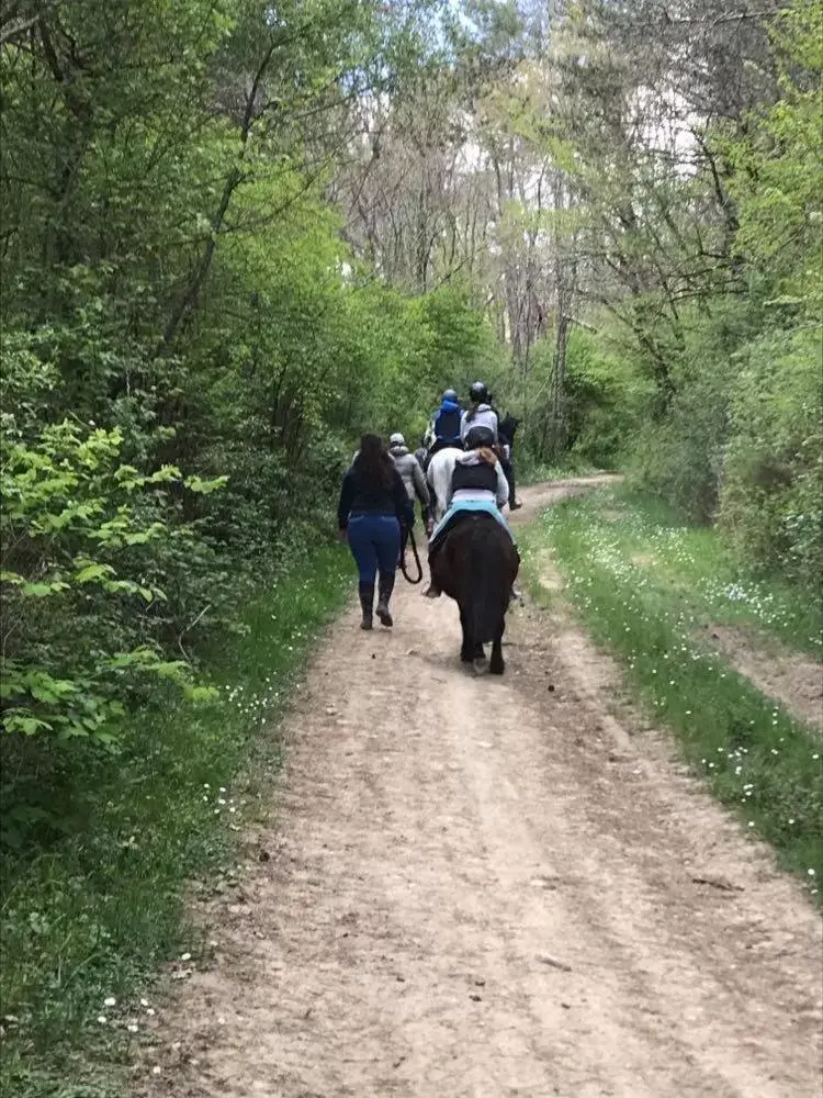 View (from property/room), Horseback Riding in chambres d'hotes Labatut