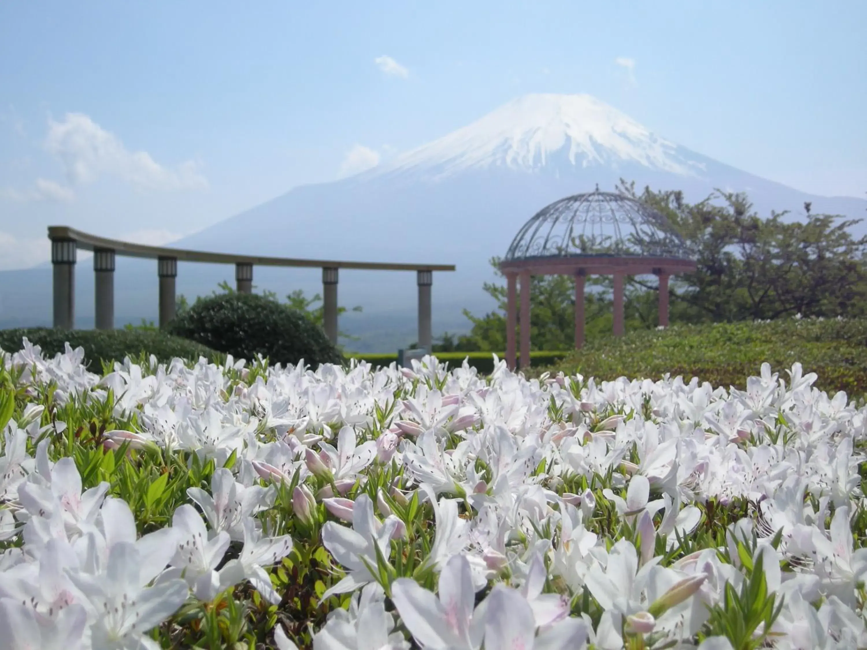 Garden, Mountain View in Hotel Mt.Fuji