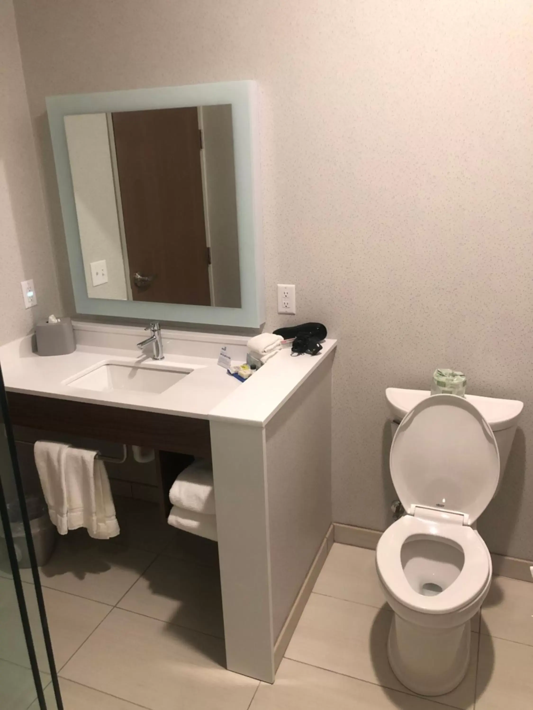 Bathroom in Holiday Inn Express & Suites - Madison West - Middleton, an IHG Hotel