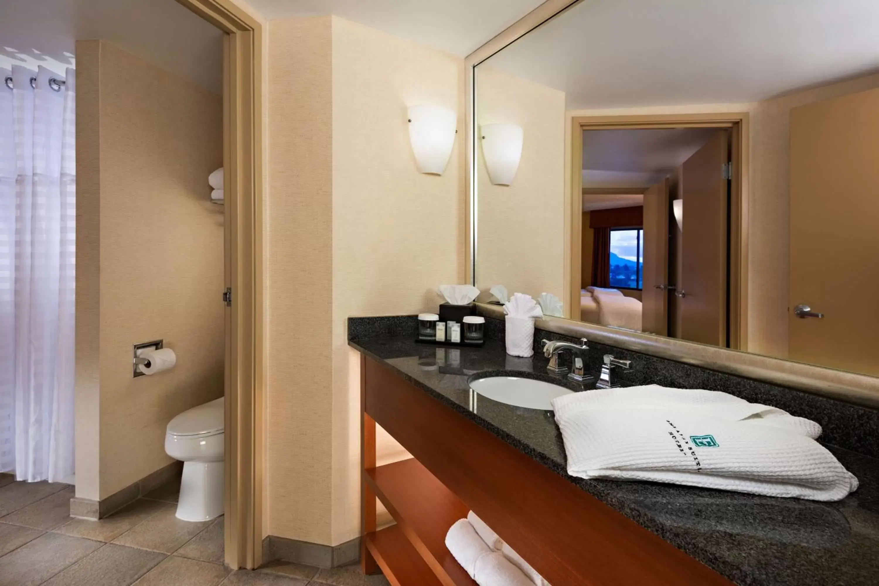 Bathroom in Embassy Suites by Hilton Phoenix Scottsdale