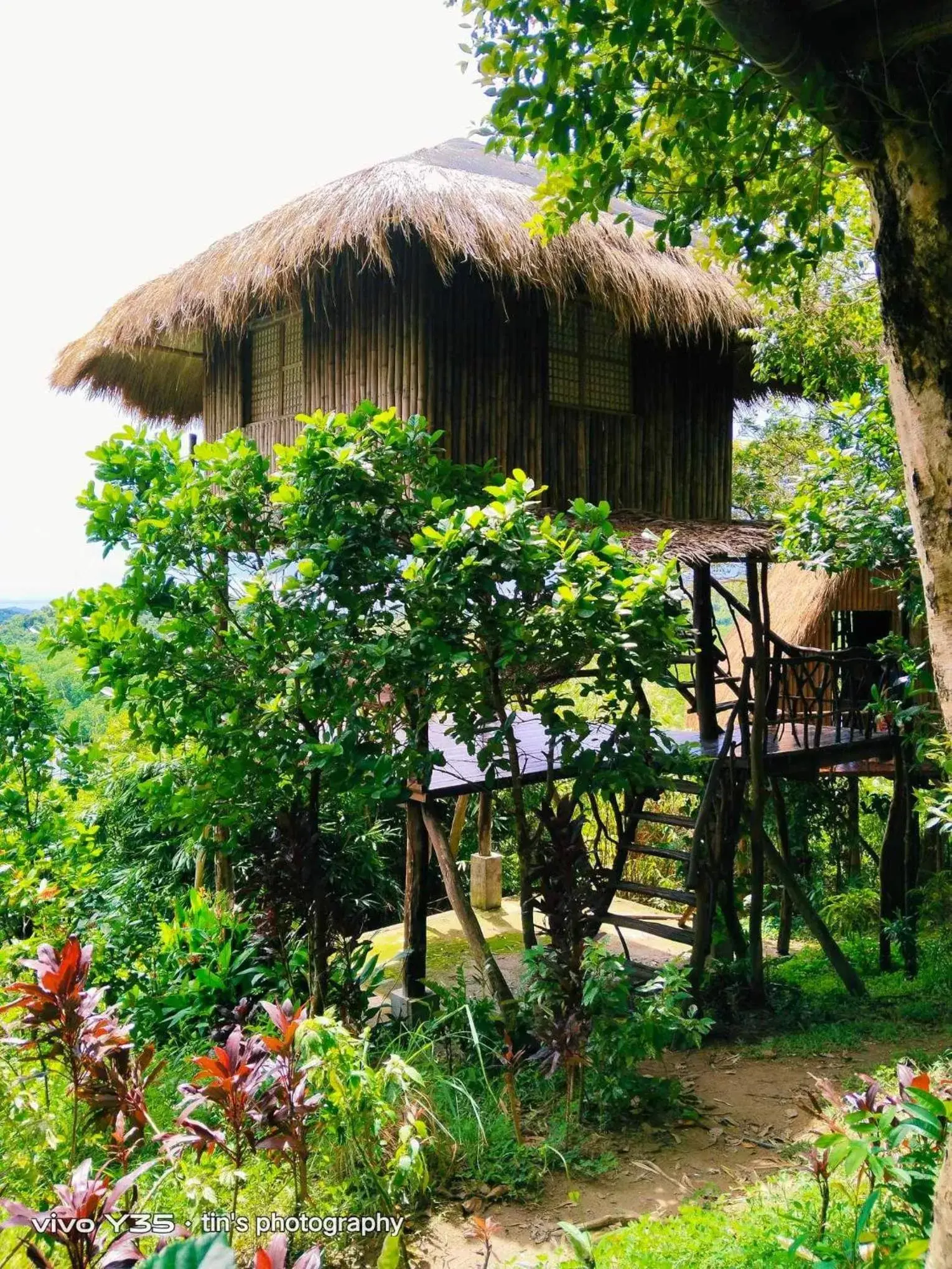 Sanctuaria Treehouses Busuanga