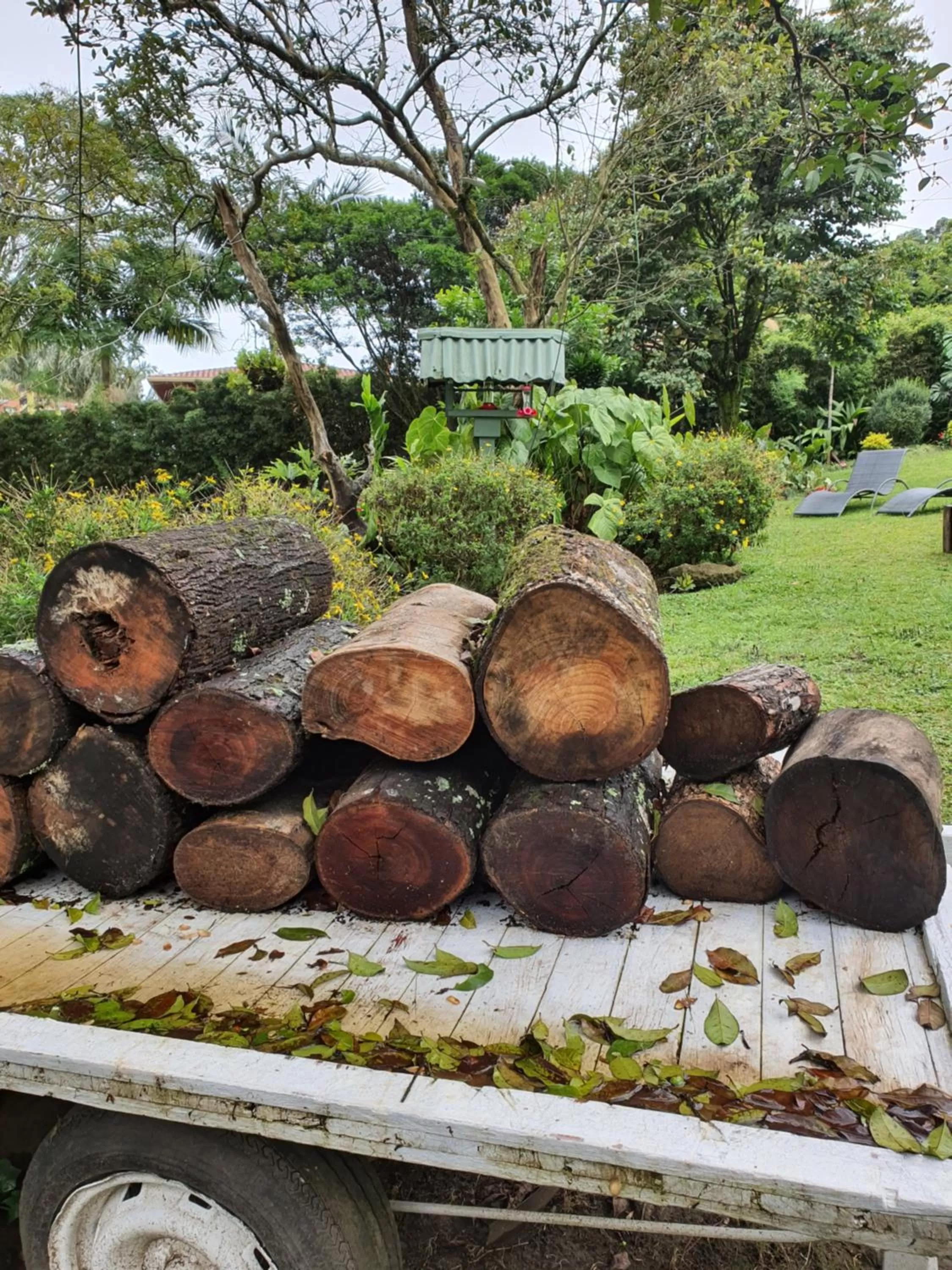 Garden in Hotel Casa Madero