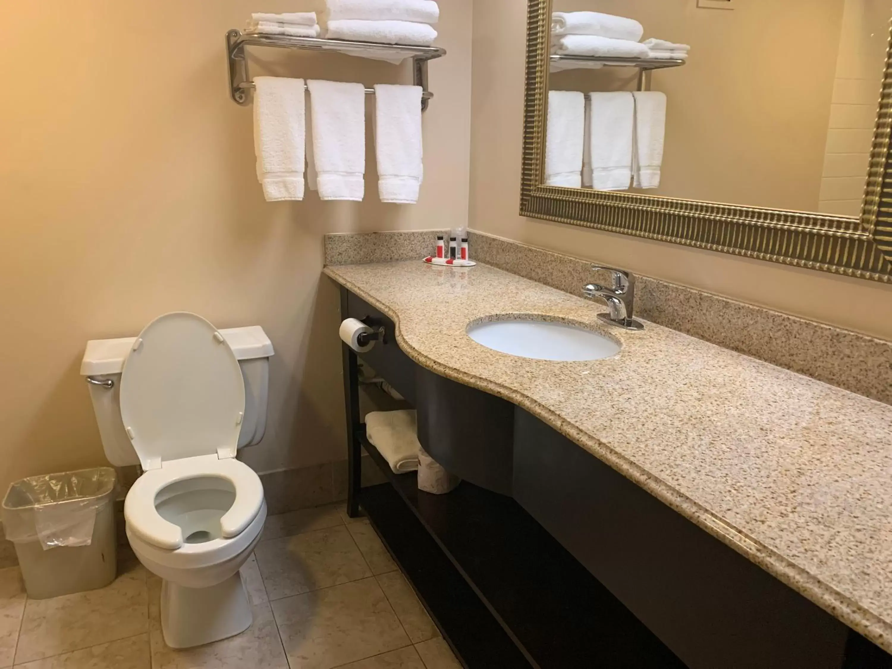 Bathroom in Ramada by Wyndham Gainesville