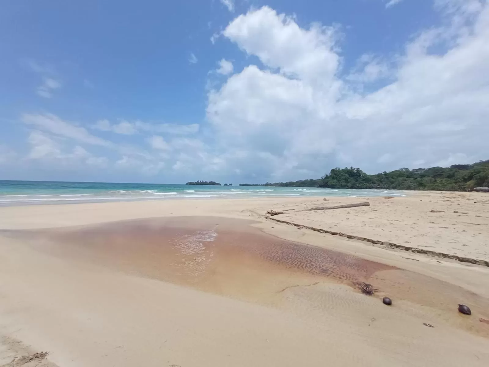 La Luciernaga Big Creek