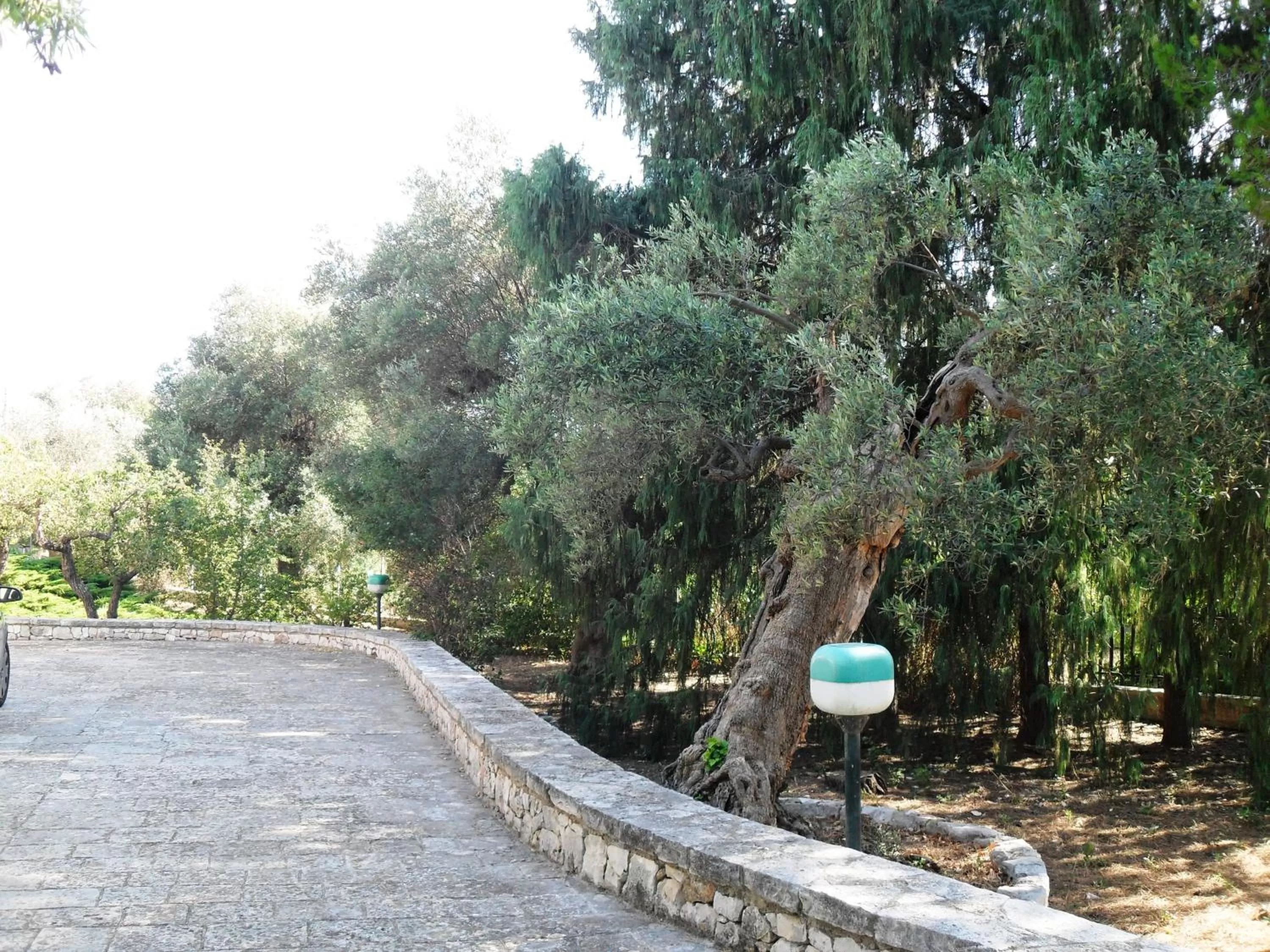 Garden in i gù books & rooms