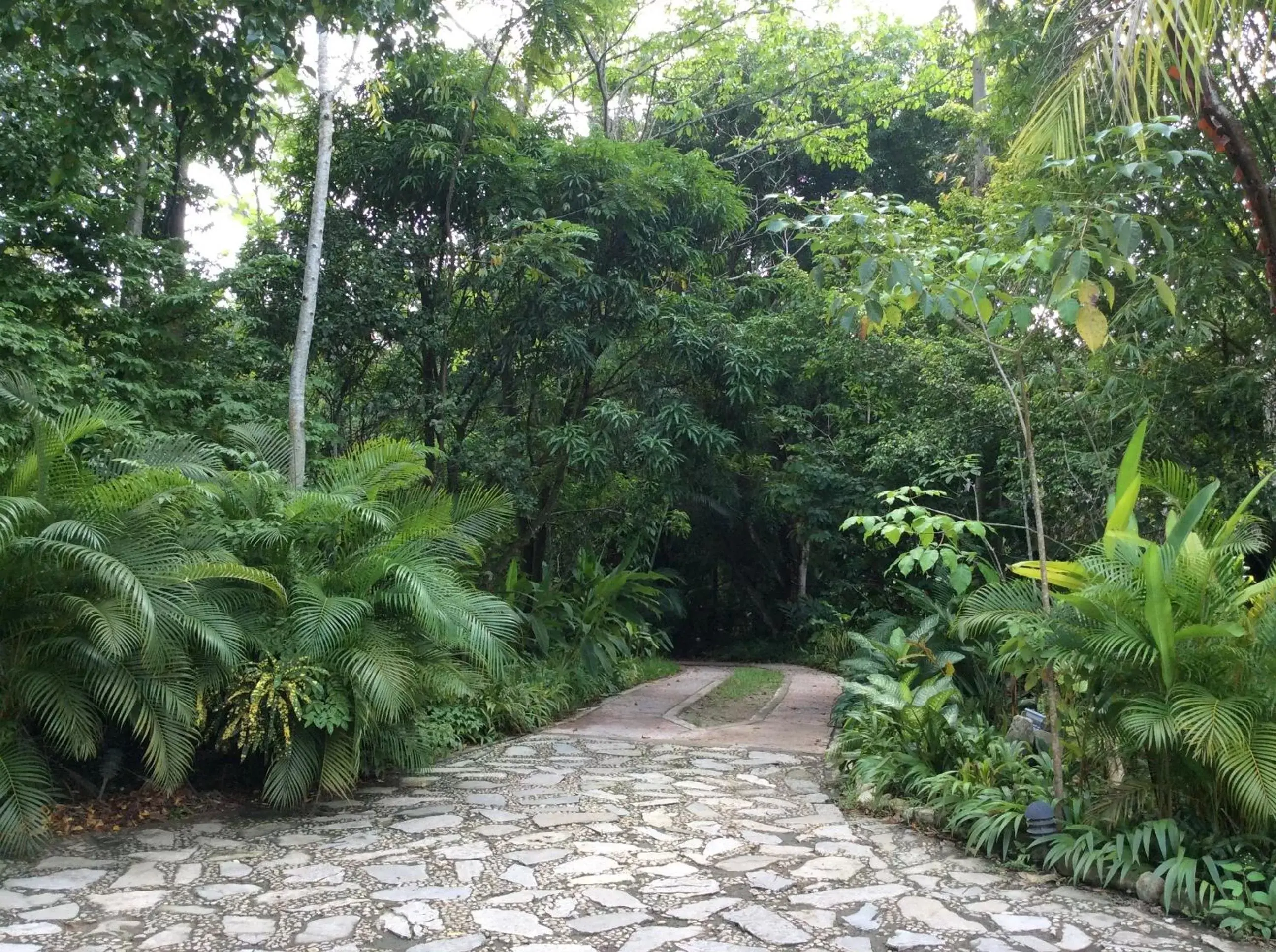 Lobby or reception, Garden in Hotel Boutique Quinta Chanabnal