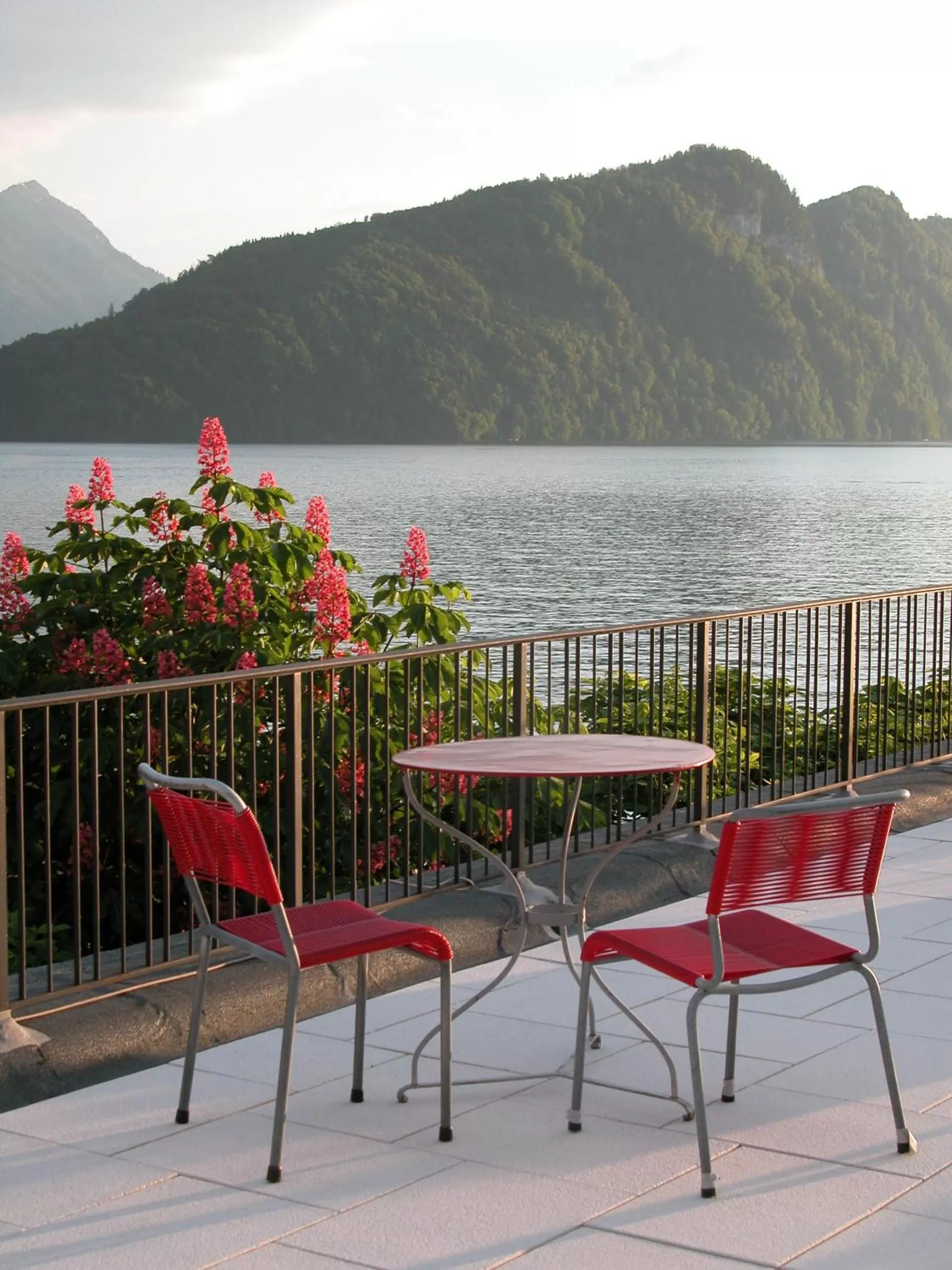 Balcony/Terrace in Hotel Terrasse am See