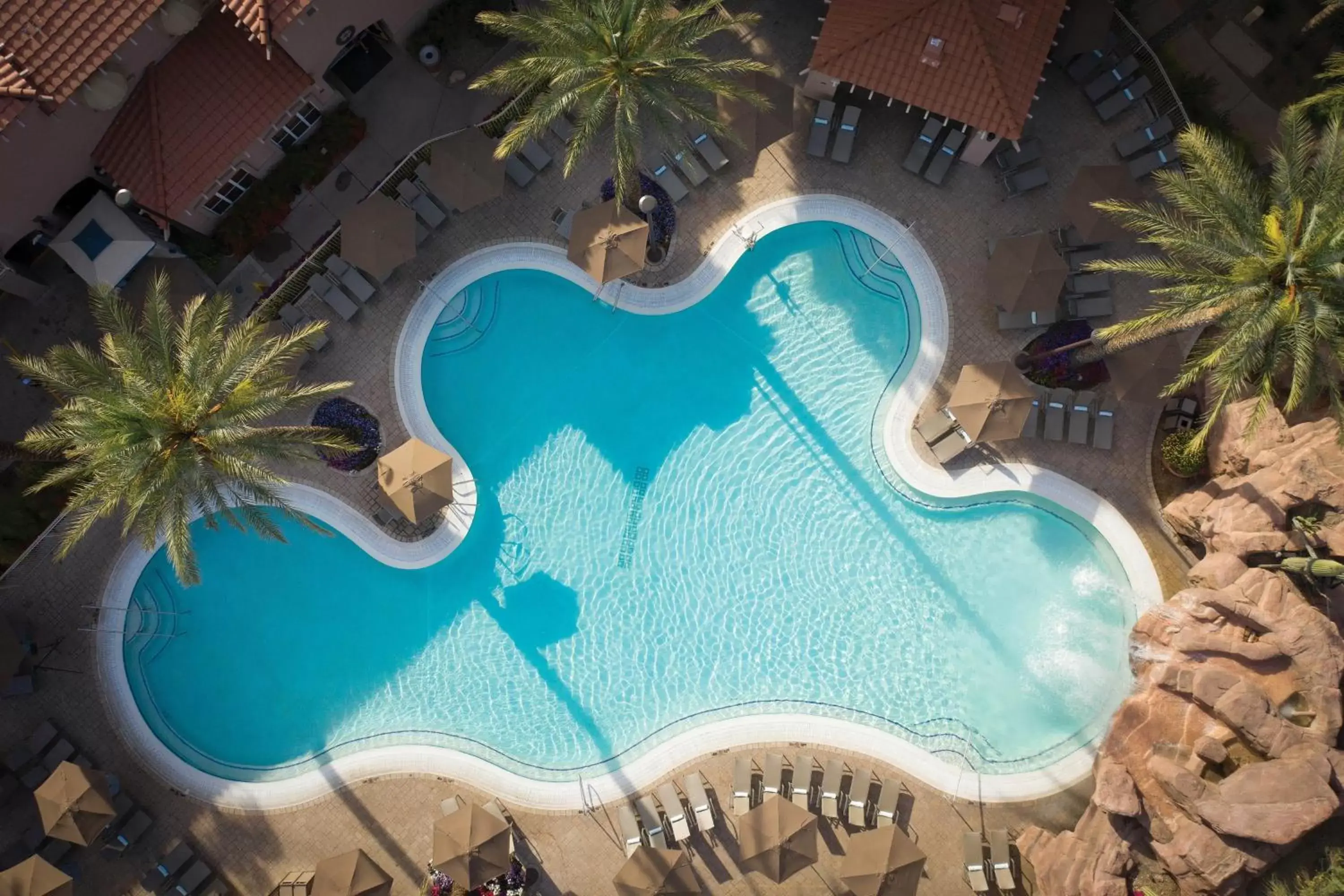 Swimming pool, Pool View in Sheraton Desert Oasis Villas, Scottsdale