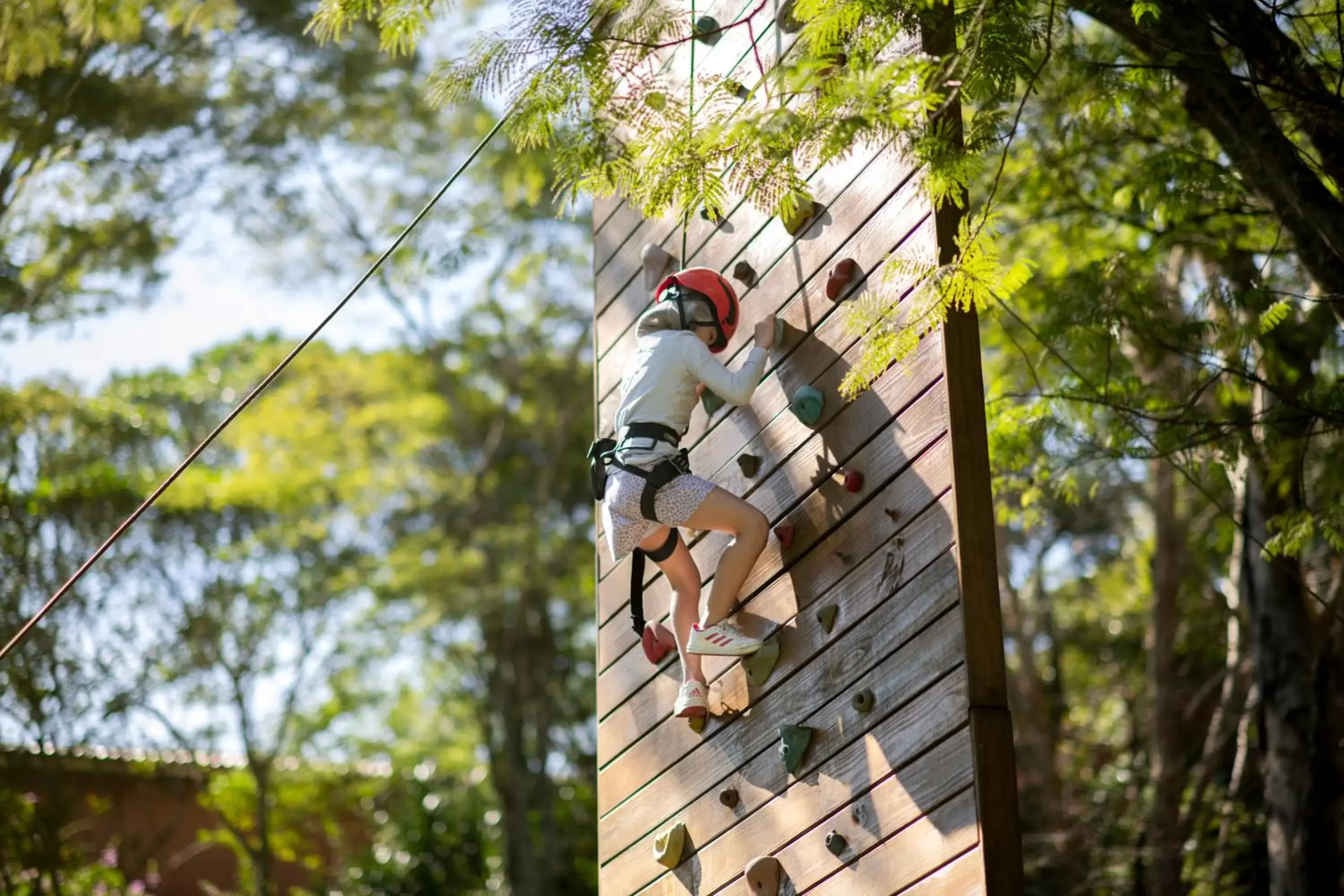 Activities in Hotel Villa Rossa