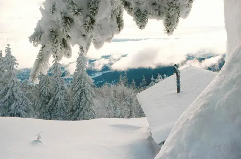 Area and facilities, Winter in Auberge Obersolberg