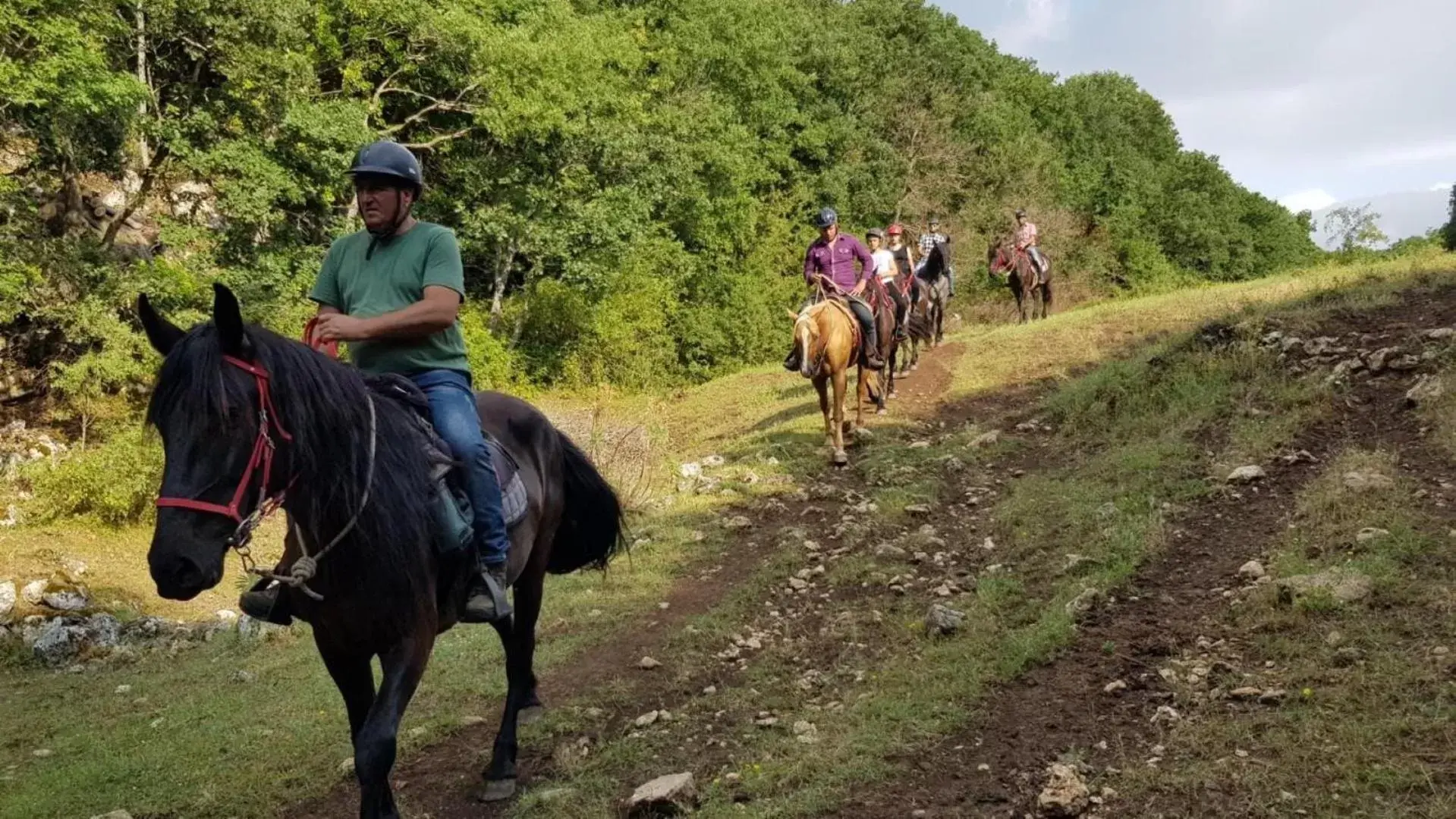 Horse-riding, Horseback Riding in B&B Home Sweet Home - Affitti Brevi Italia