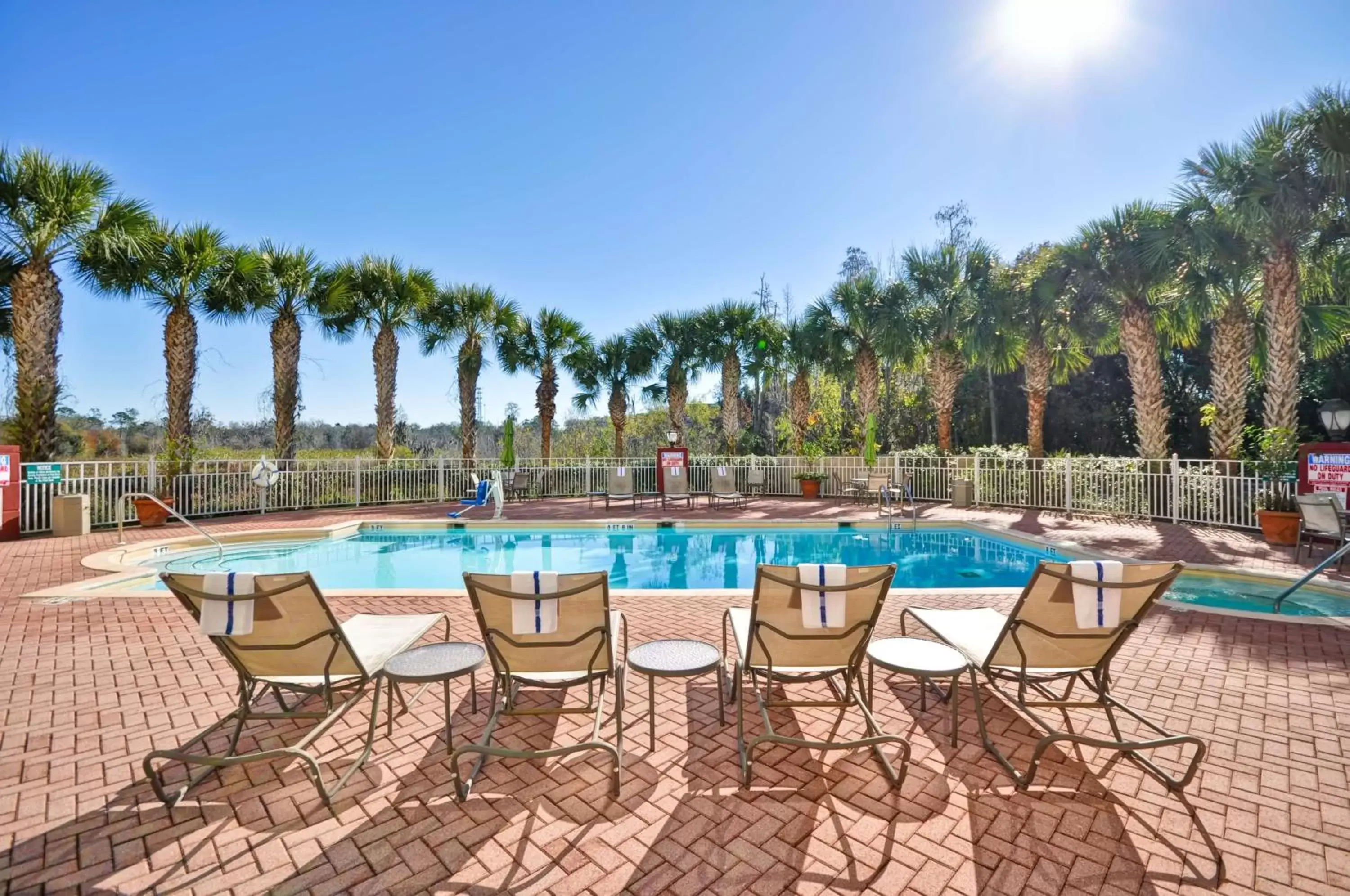 Pool view, Swimming Pool in Hilton Garden Inn Tampa North