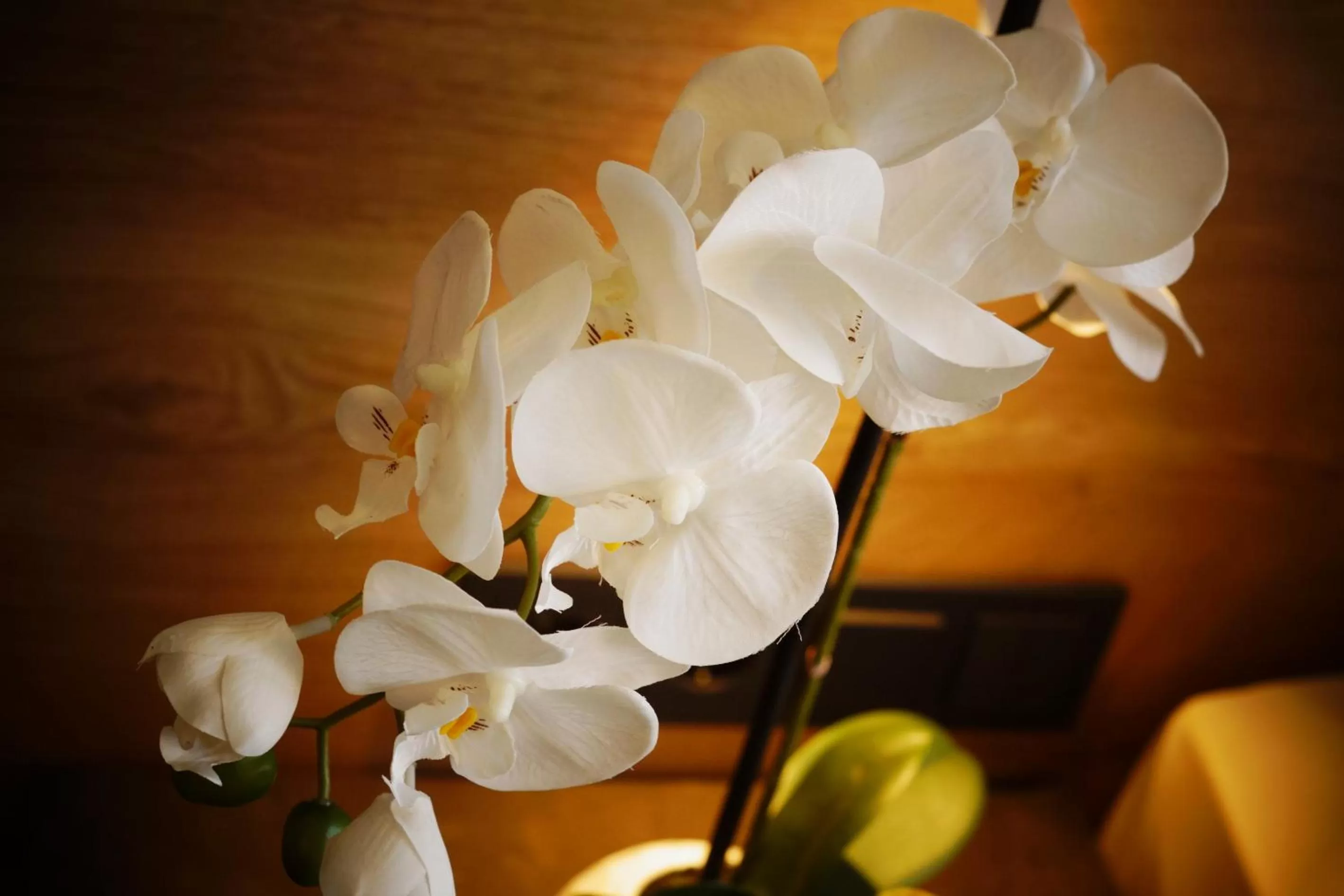 Decorative detail in Hotel Peterhof - urban lifestyle Kempten