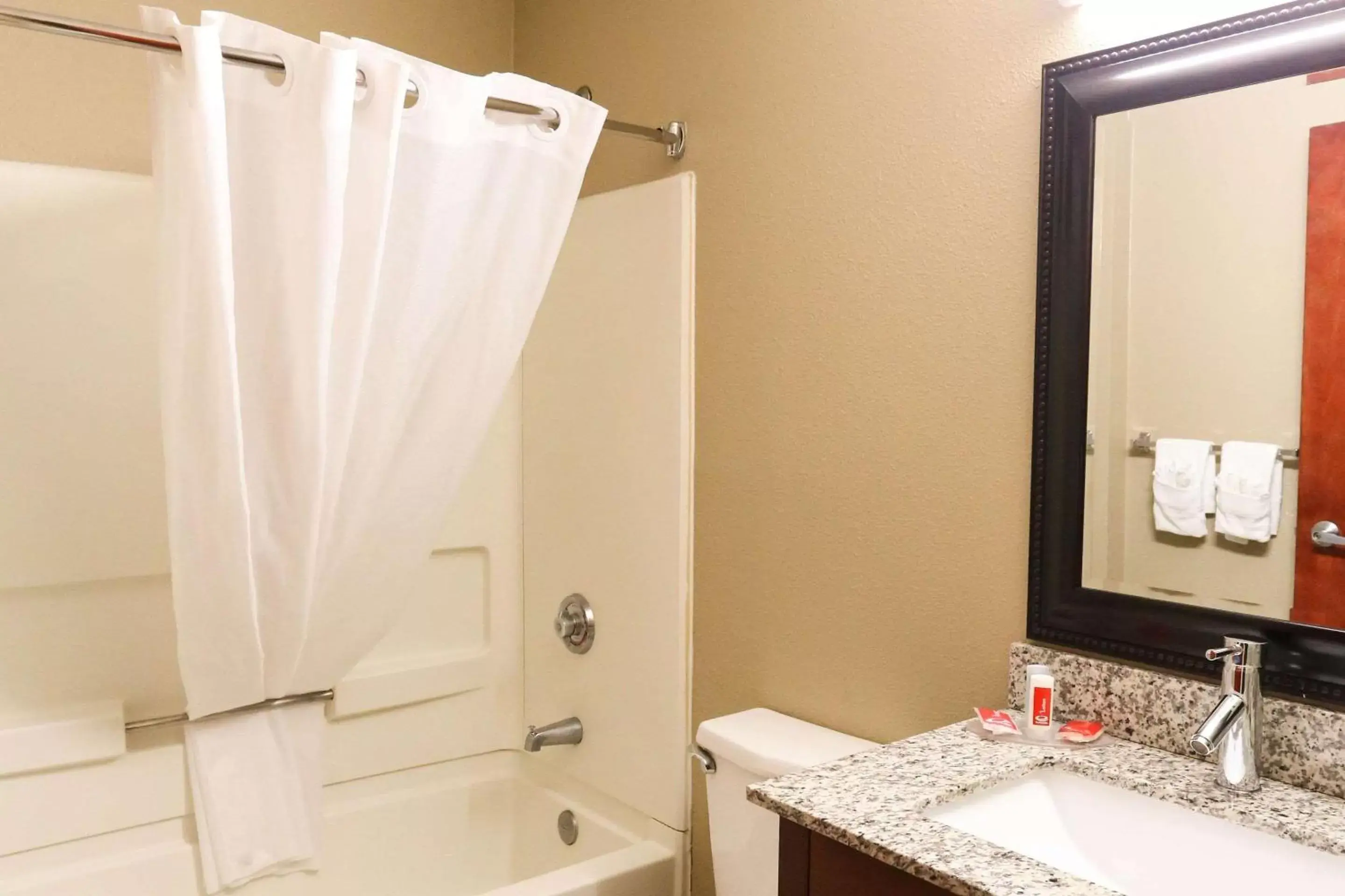 Bathroom in Econo Lodge Inn and Suites Greenville