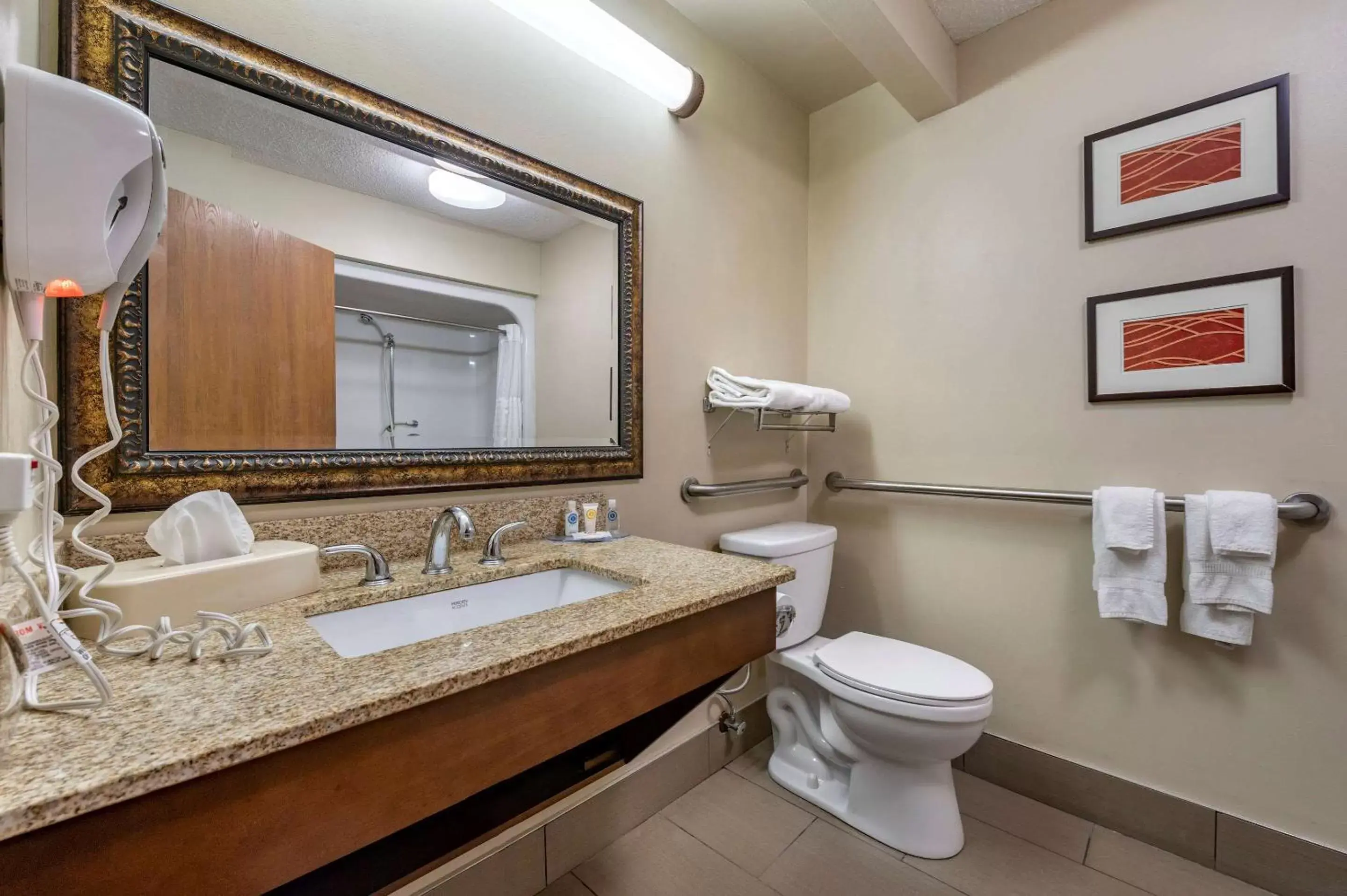 Bathroom in Comfort Inn Lexington Southeast