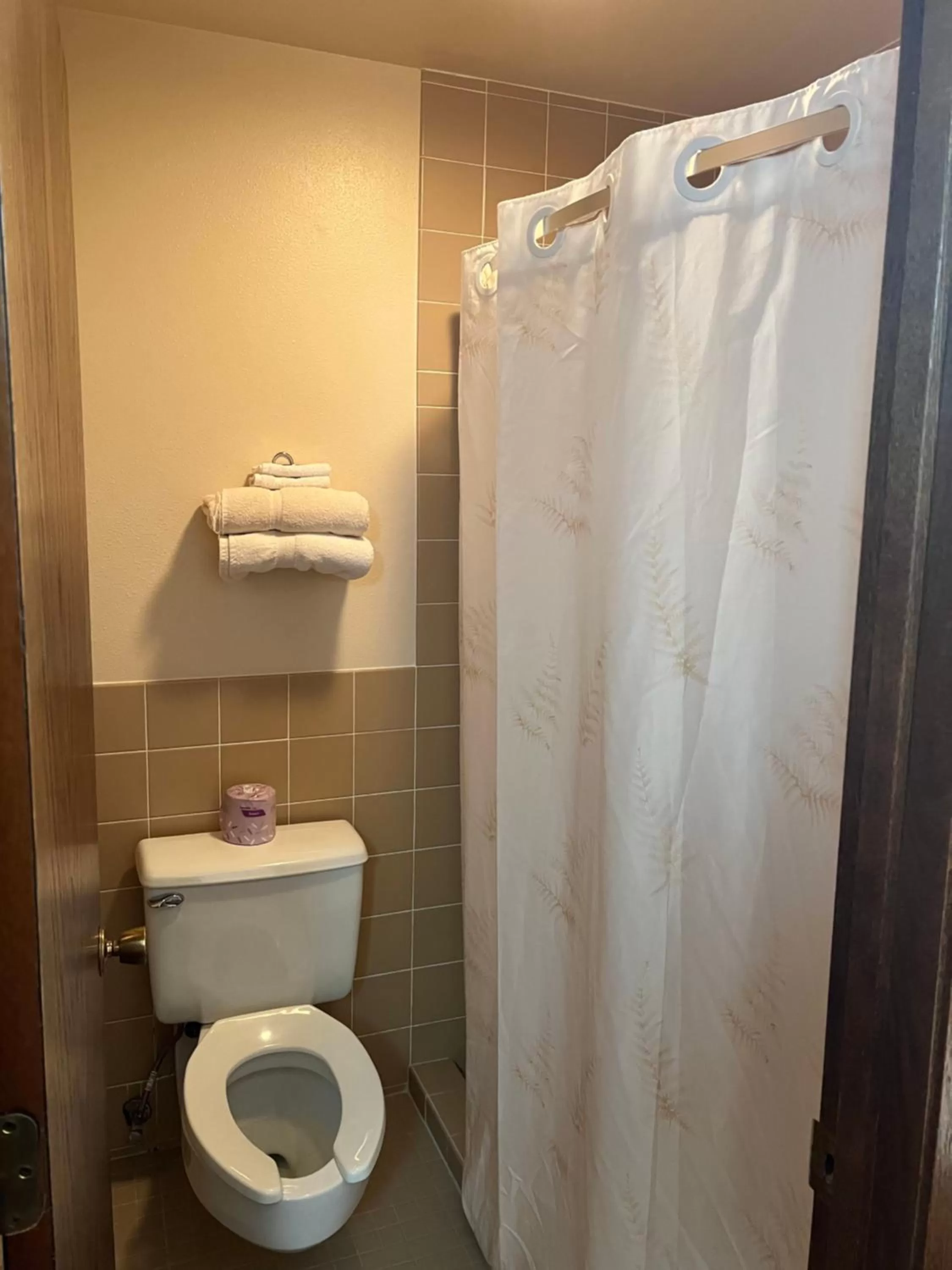 Bathroom in Barnesville Motel