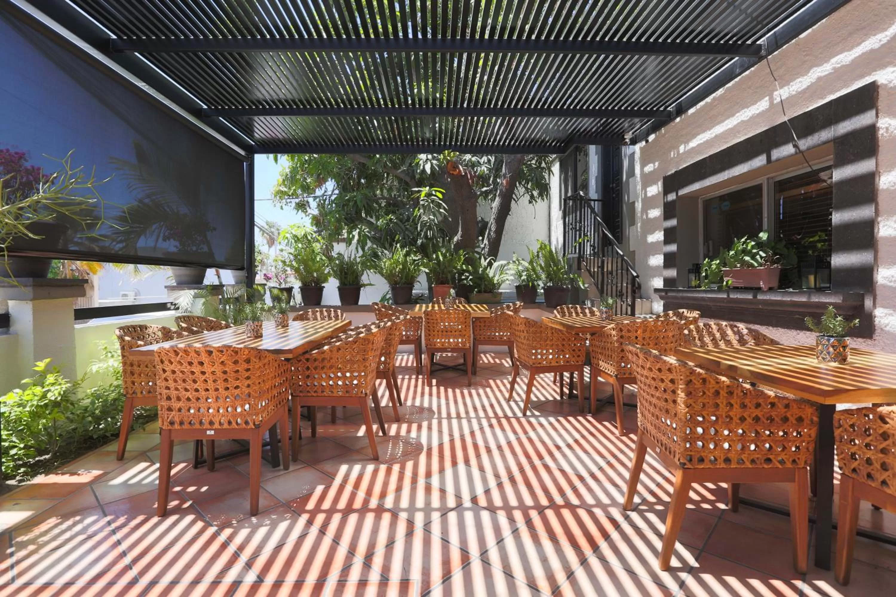 Restaurant/places to eat in Hotel Posada Terranova