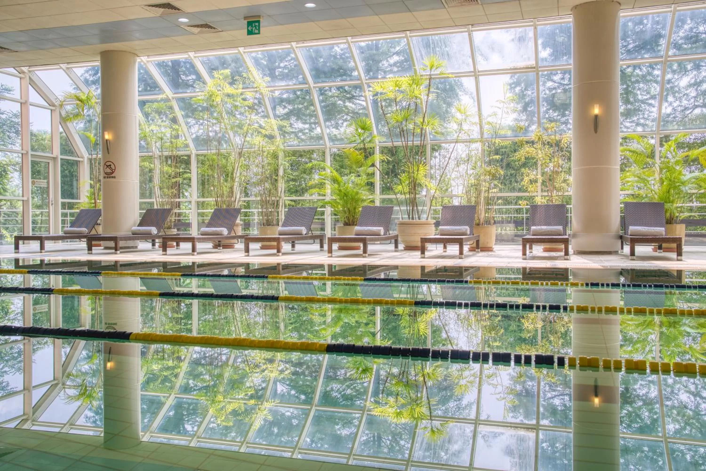 Swimming pool in Mayfield Hotel Seoul