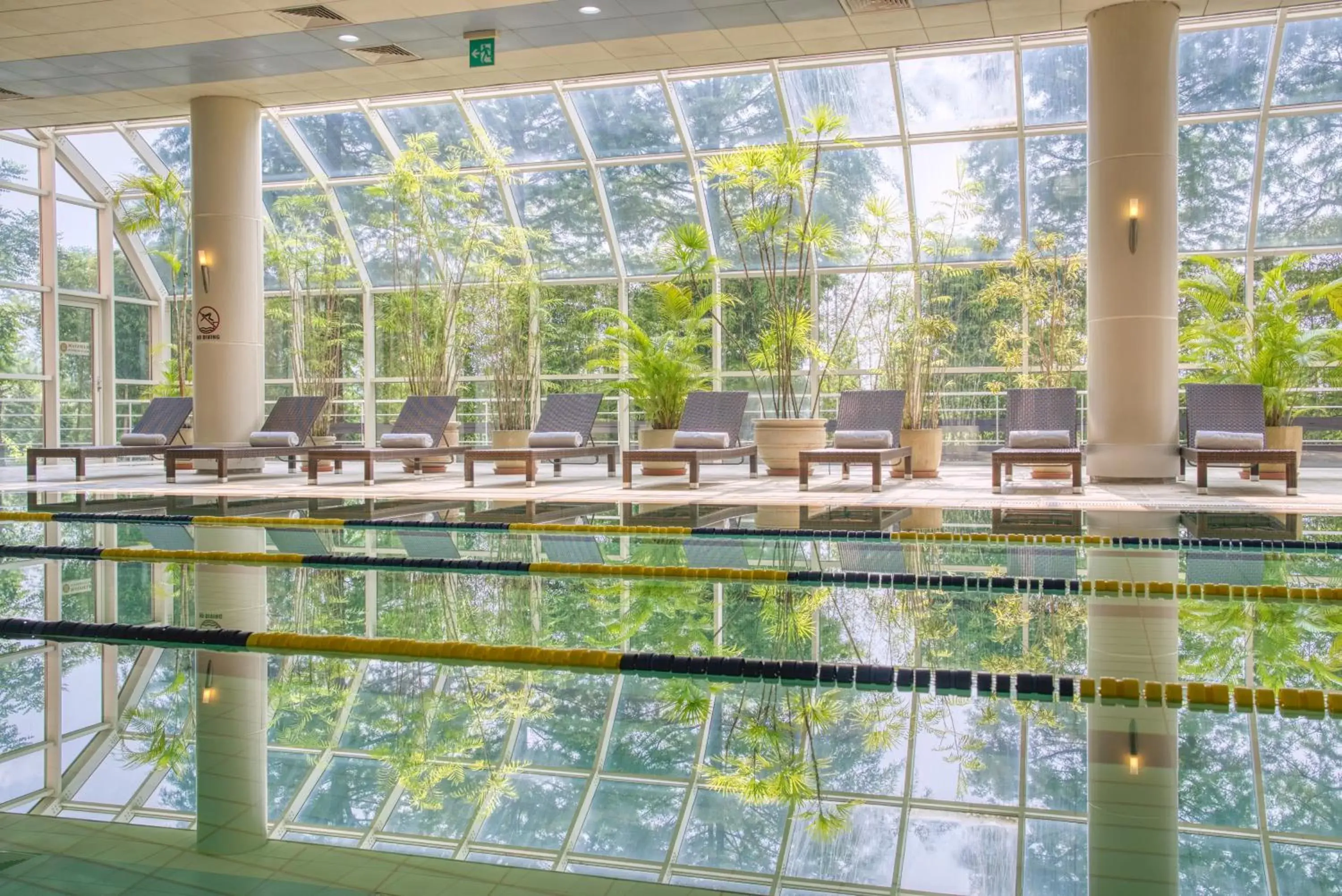 Swimming Pool in Mayfield Hotel Seoul