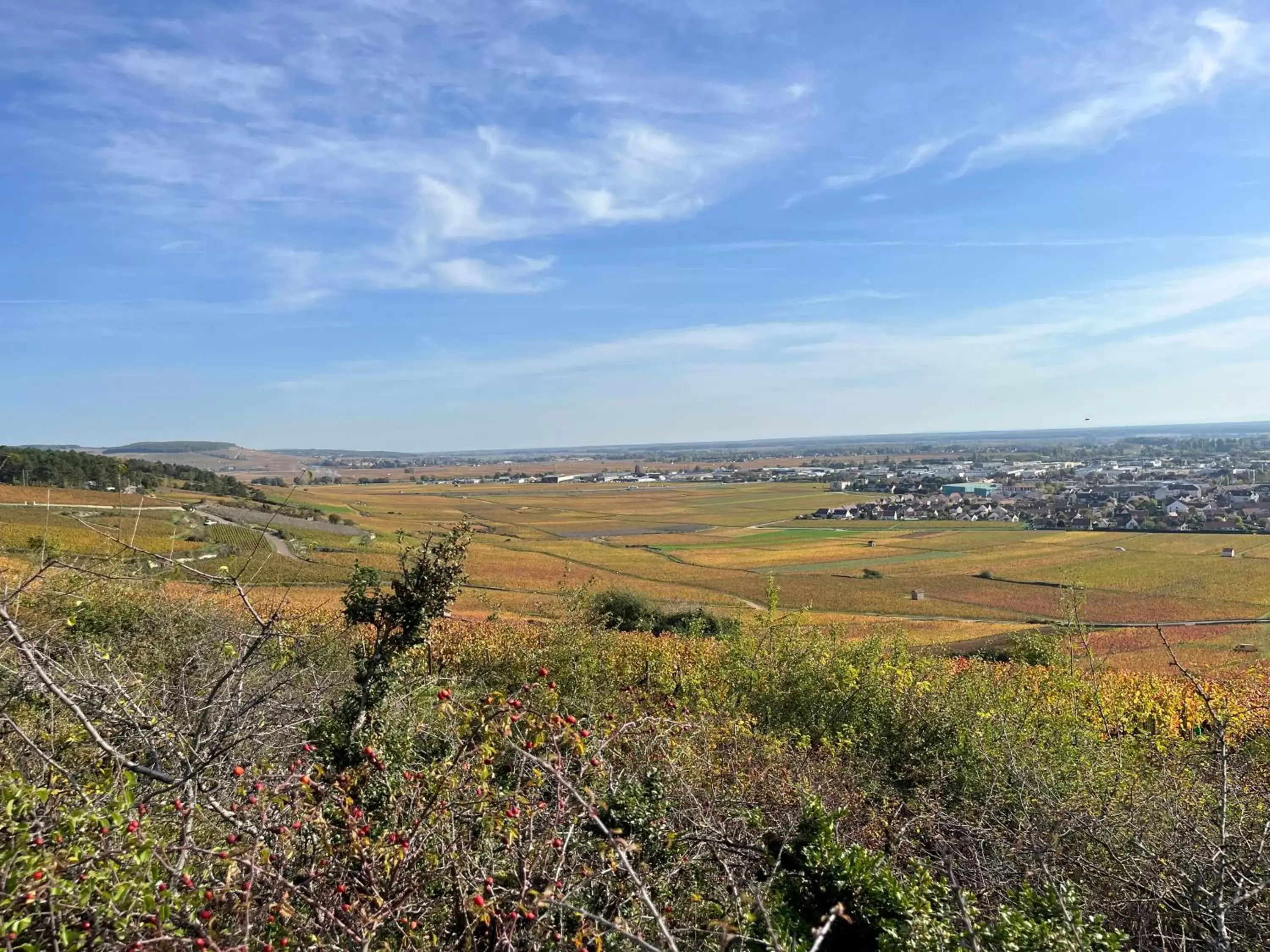 Natural landscape in Maison Cabotte