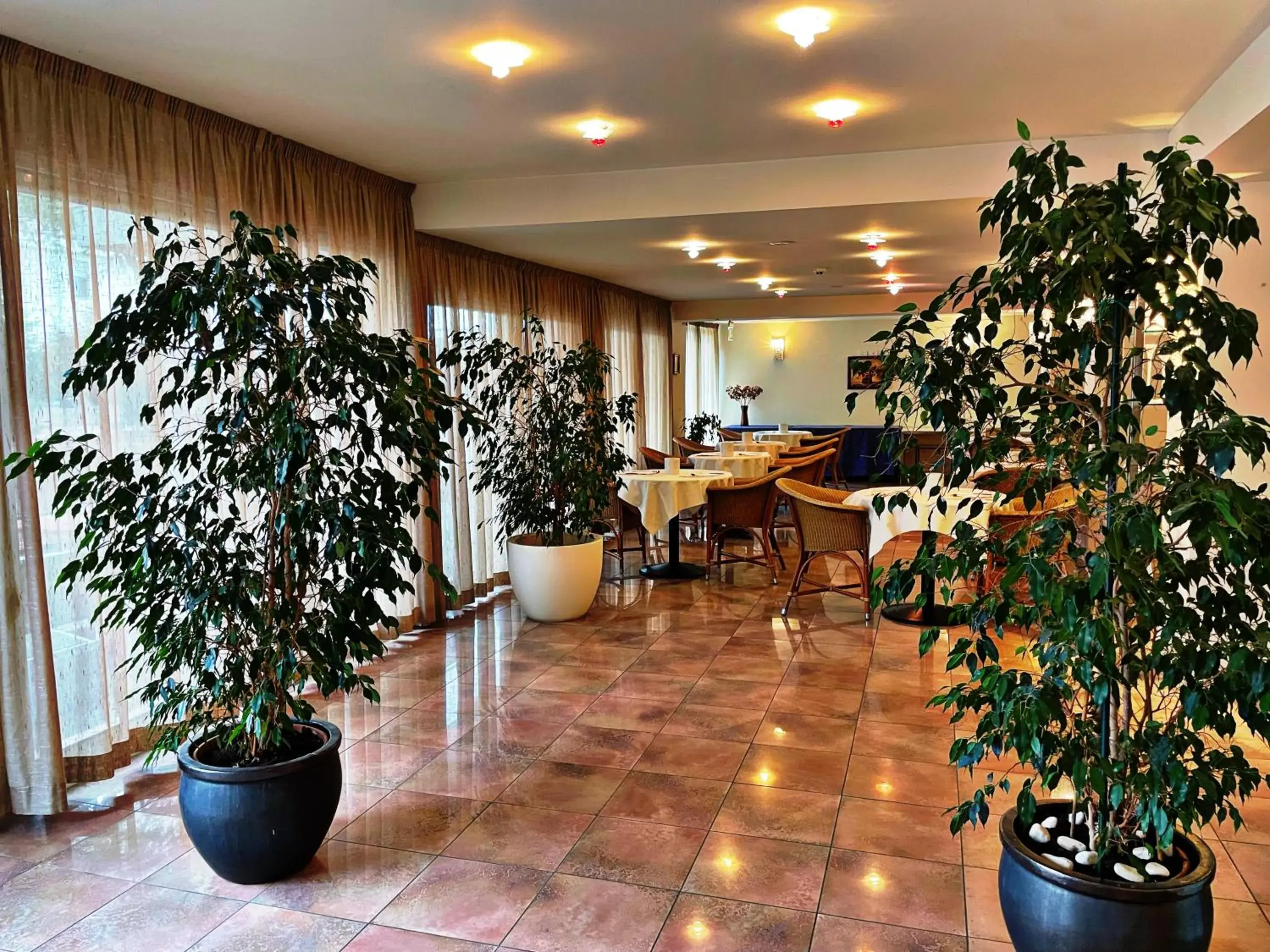 Lobby or reception in Hotel Ambra