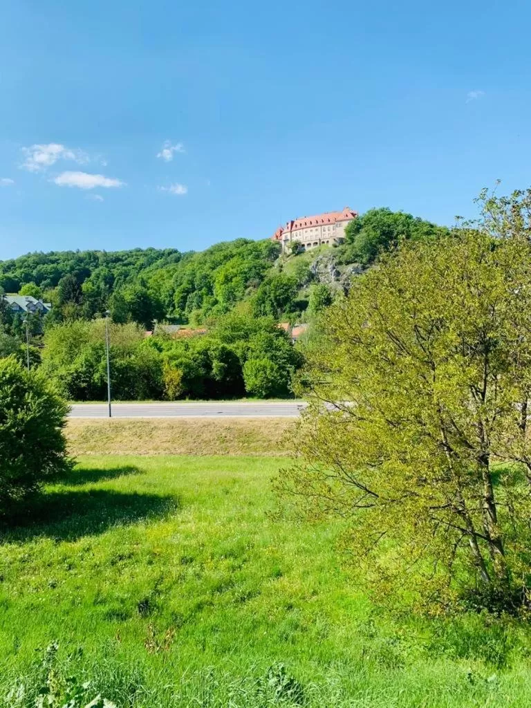 Natural landscape in Pokoje w Starej Karczmie - by Upstairs
