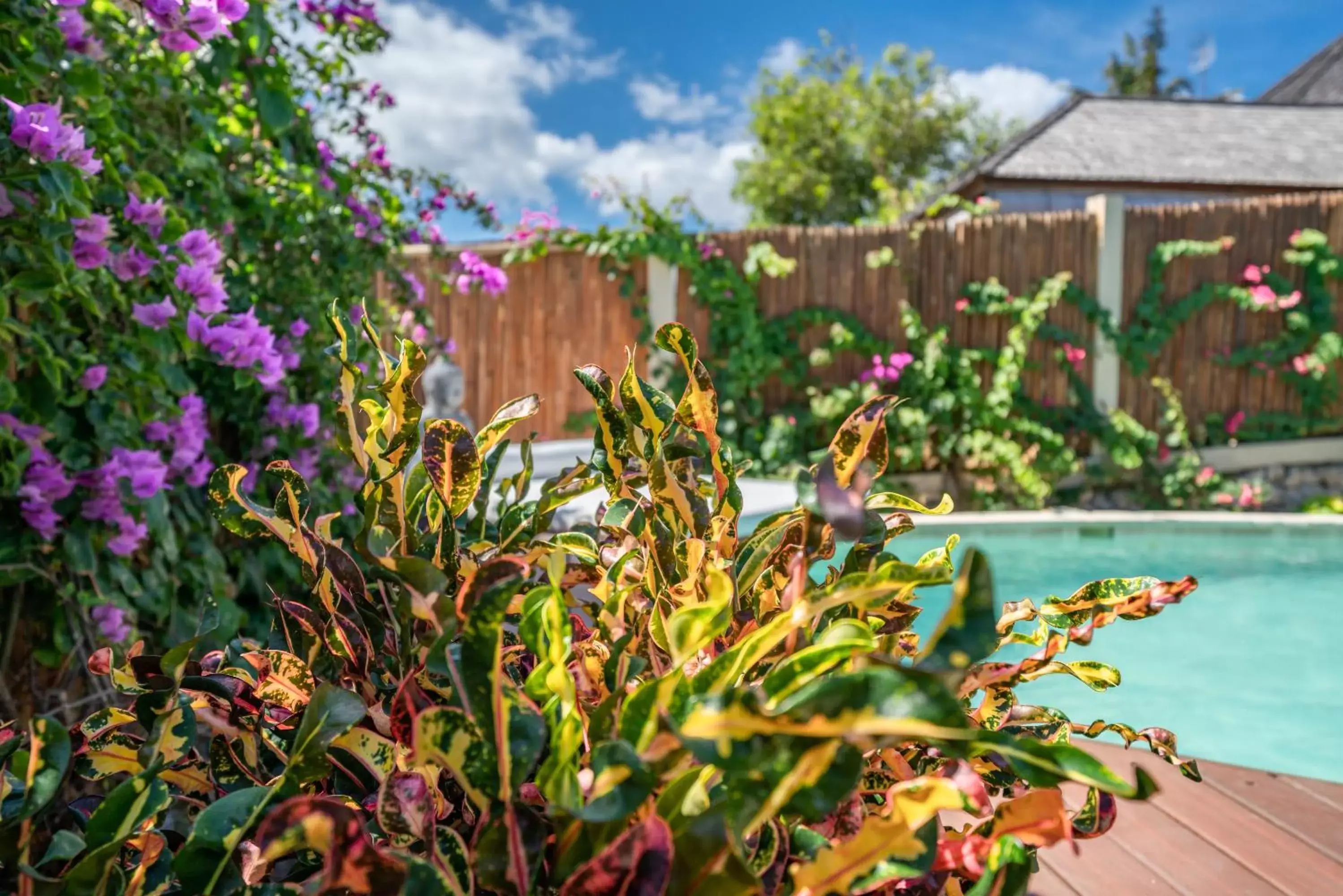 Garden, Swimming Pool in Blue Lagoon Avia Villas