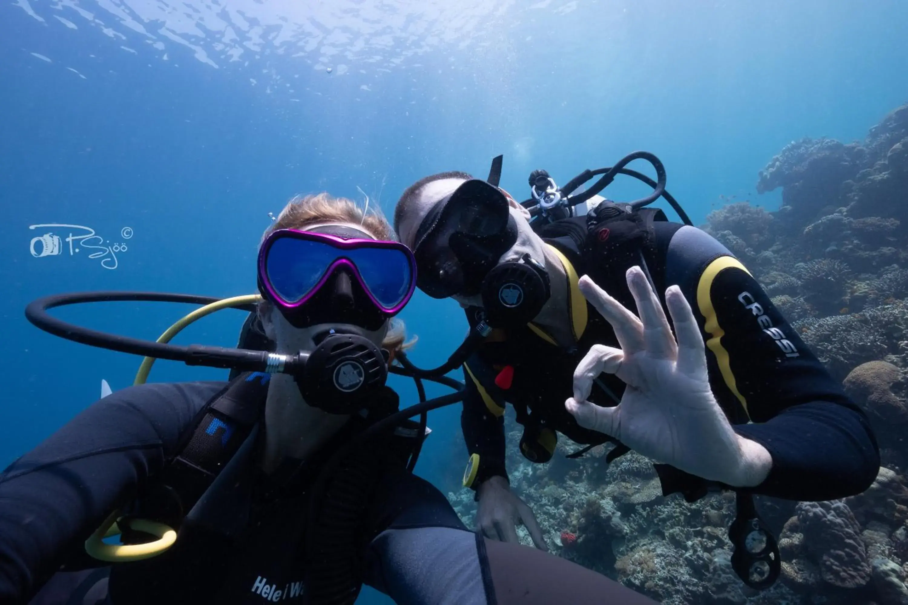 Diving, Snorkeling/Diving in Divers Lodge