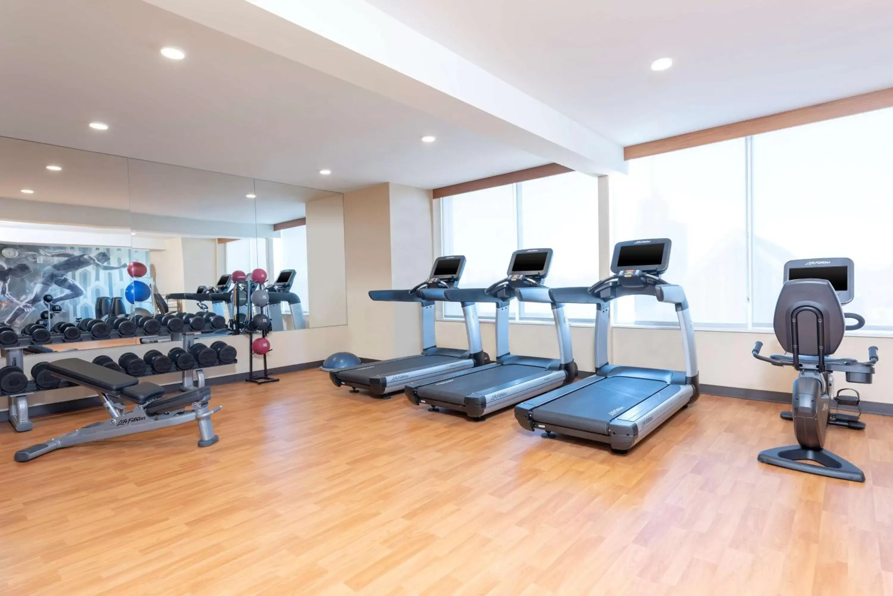 Fitness centre/facilities, Fitness Center/Facilities in Hyatt Place Detroit/Royal Oak