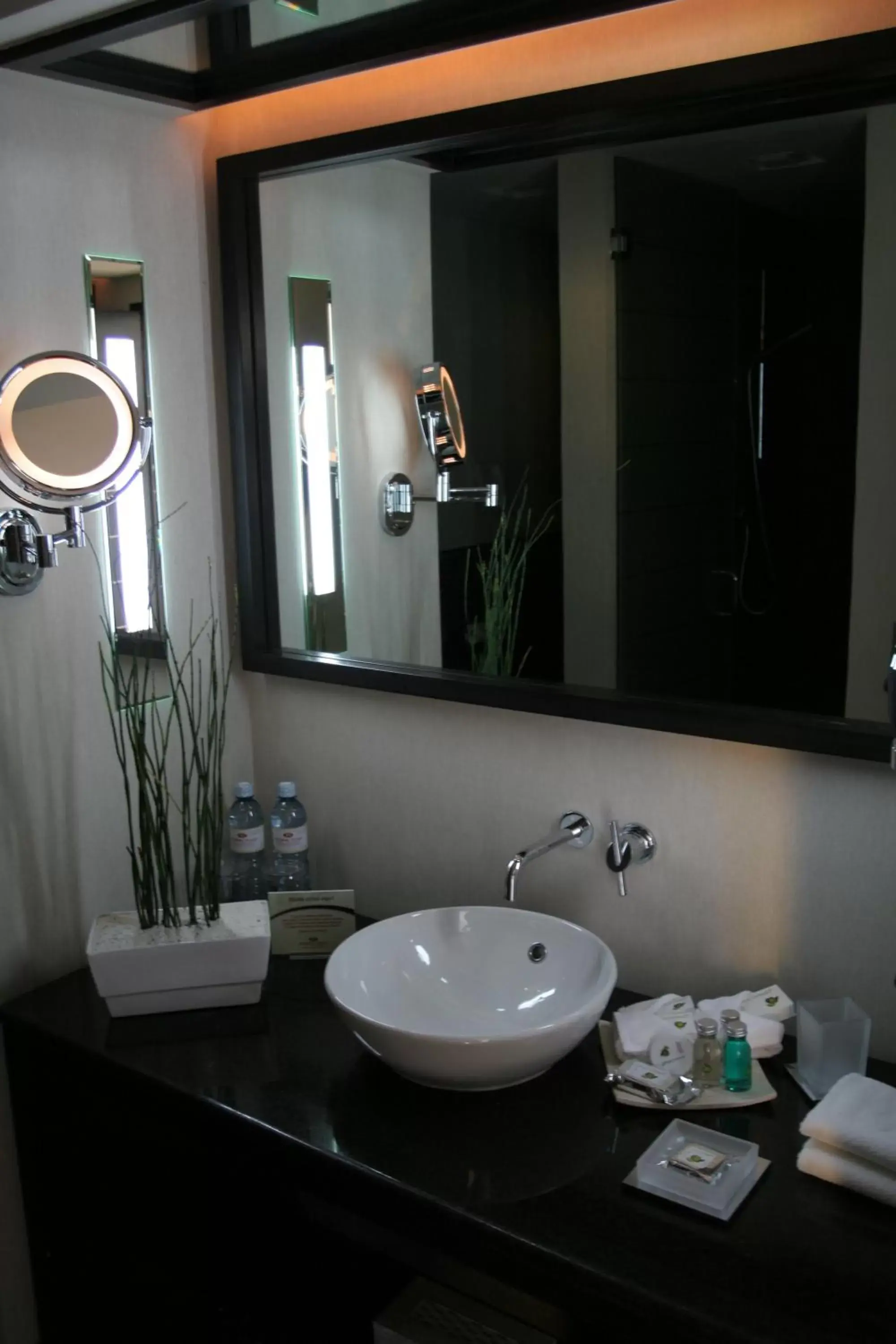 Bedroom, Bathroom in Crowne Plaza Toluca - Lancaster, an IHG Hotel