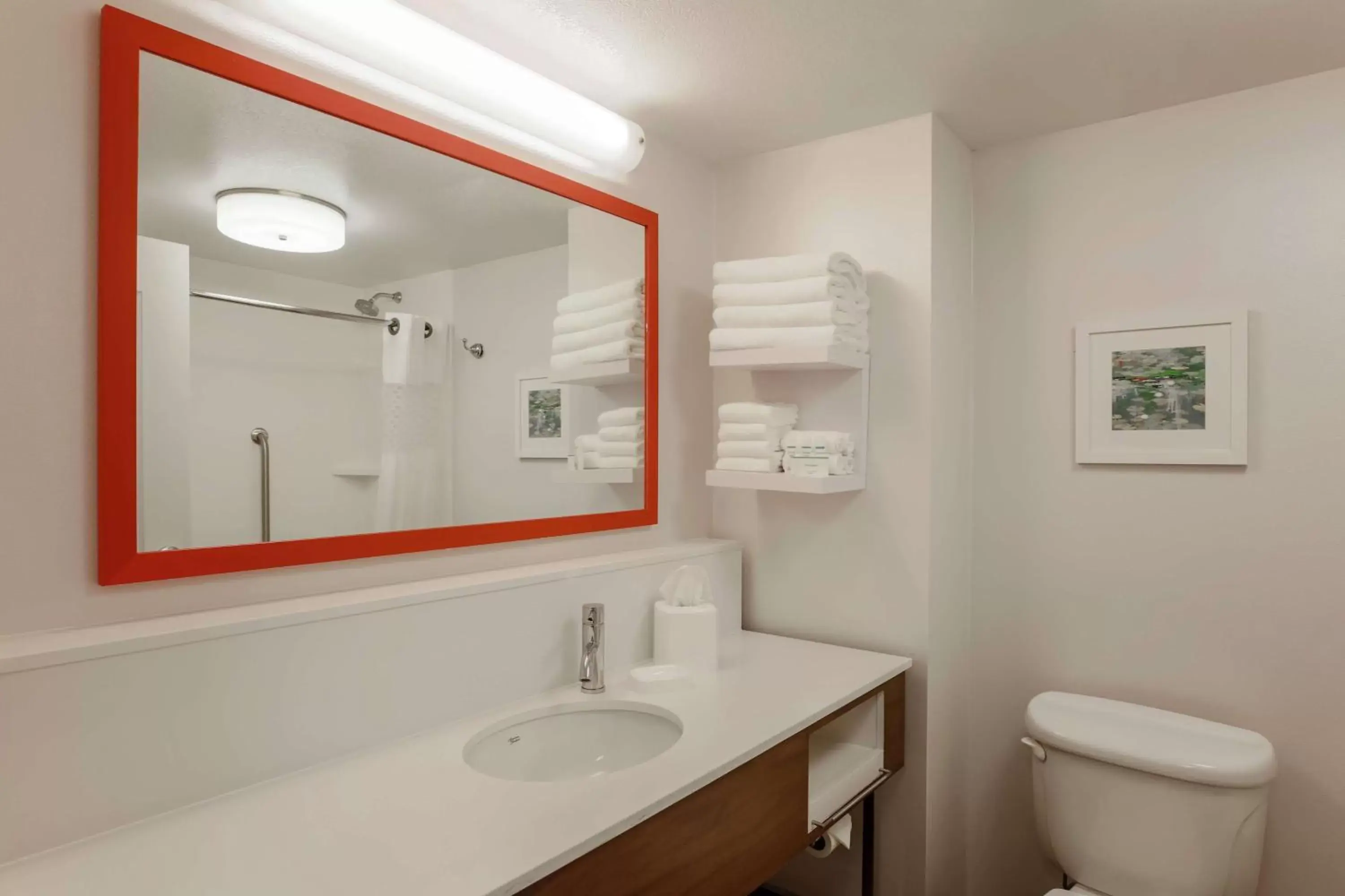Bathroom in Hampton Inn & Suites Tallahassee I-10-Thomasville Road
