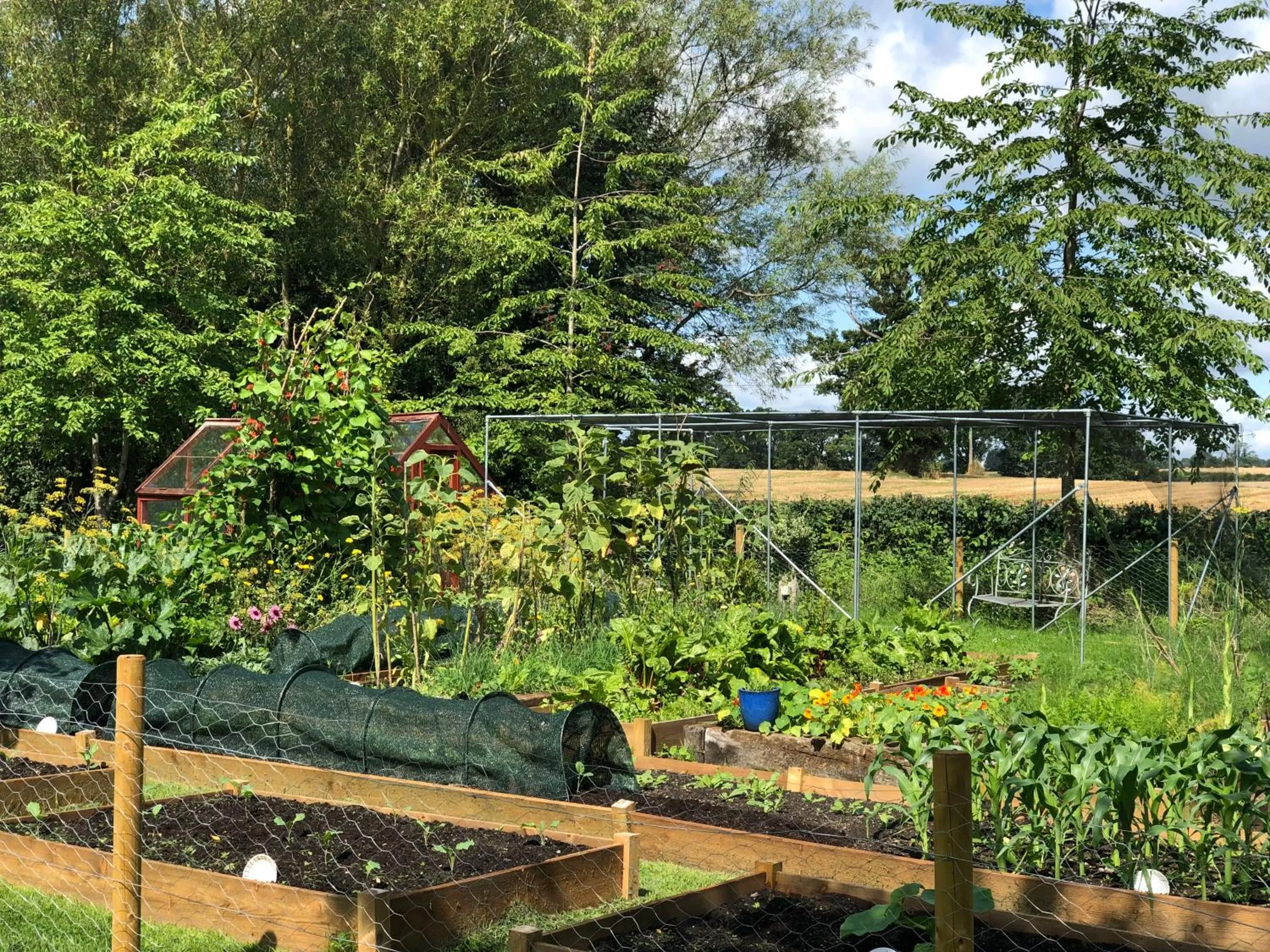 Garden in Pear Tree Inn Whitley