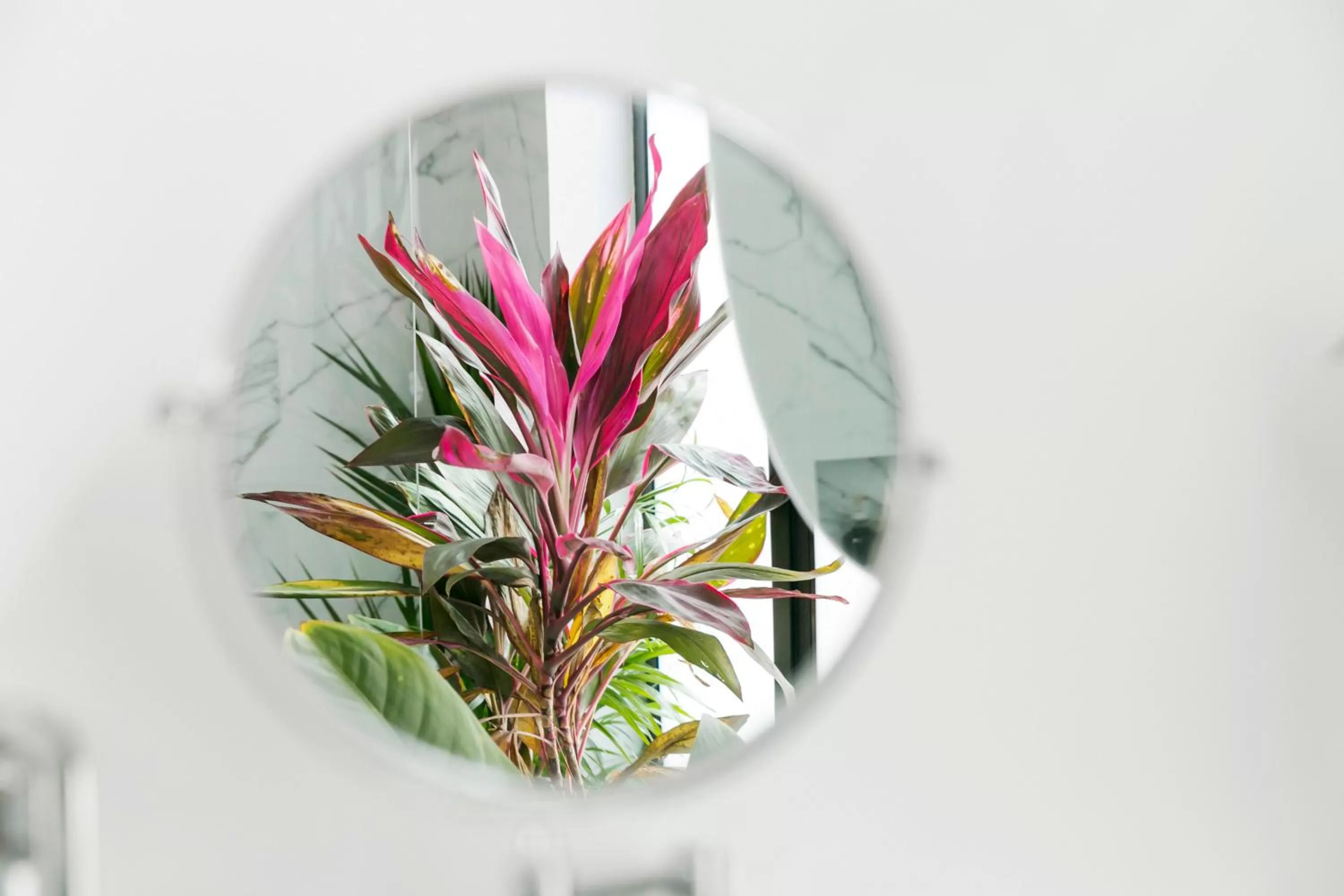 Bathroom in Orchid House Mexico City