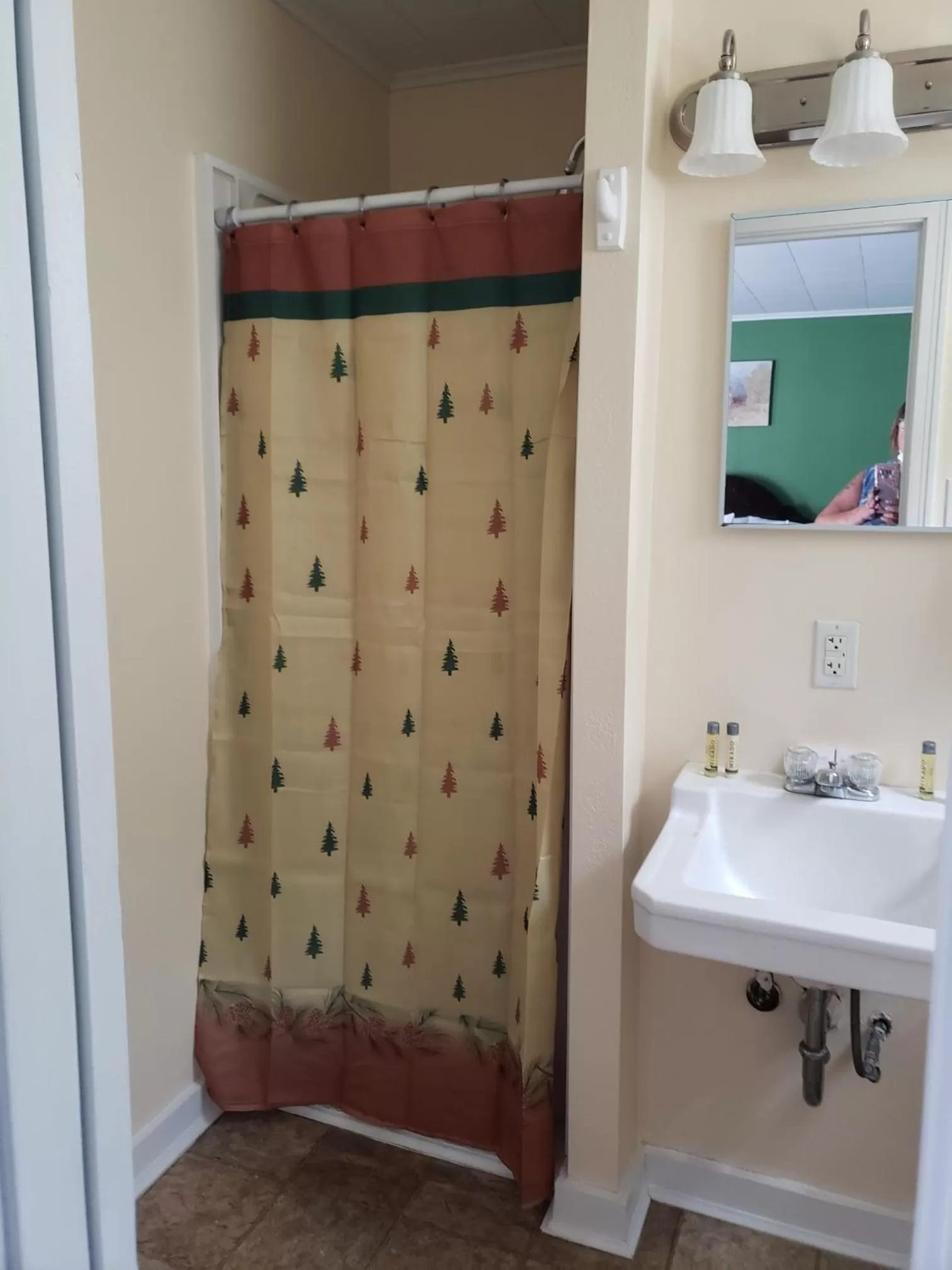 Bathroom in Blue Ridge Motel