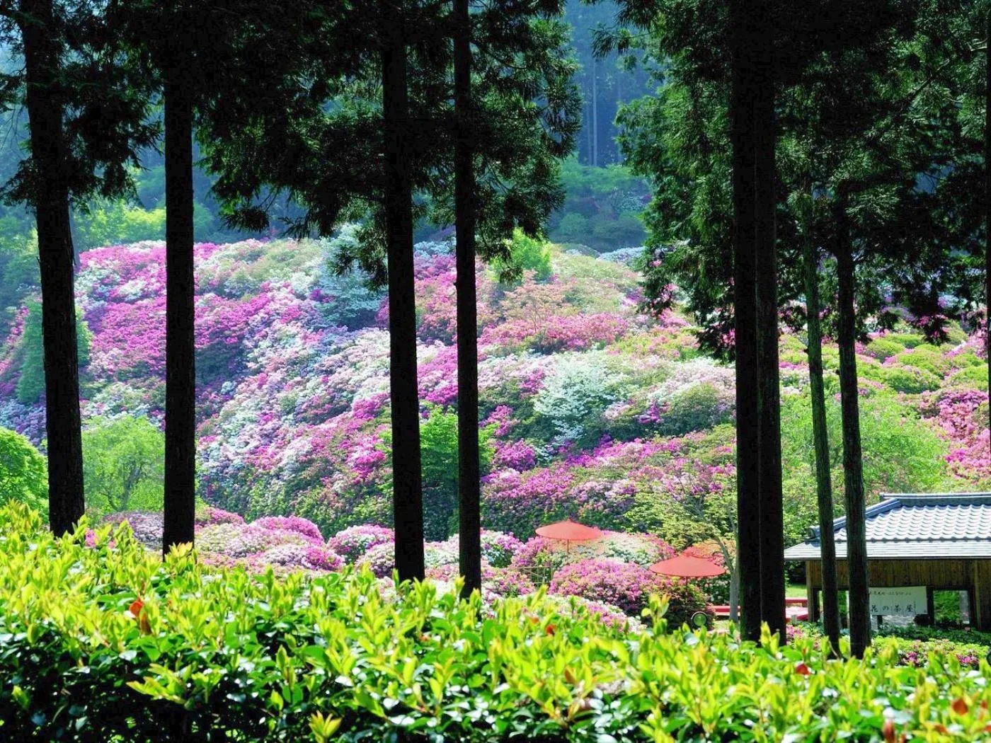 Off site in Hanayashiki Ukifune-en