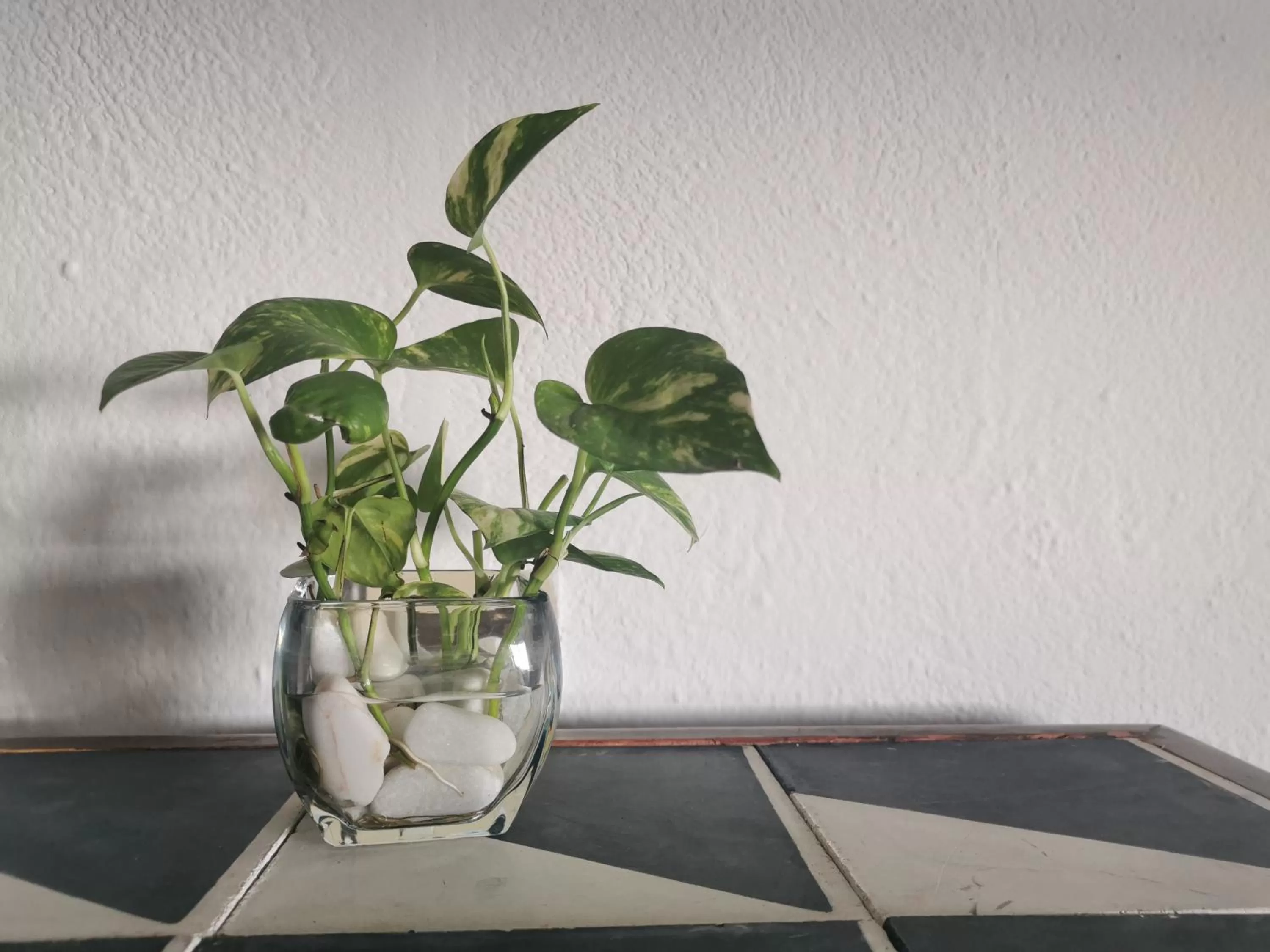 Decorative detail in Gaviana Resort