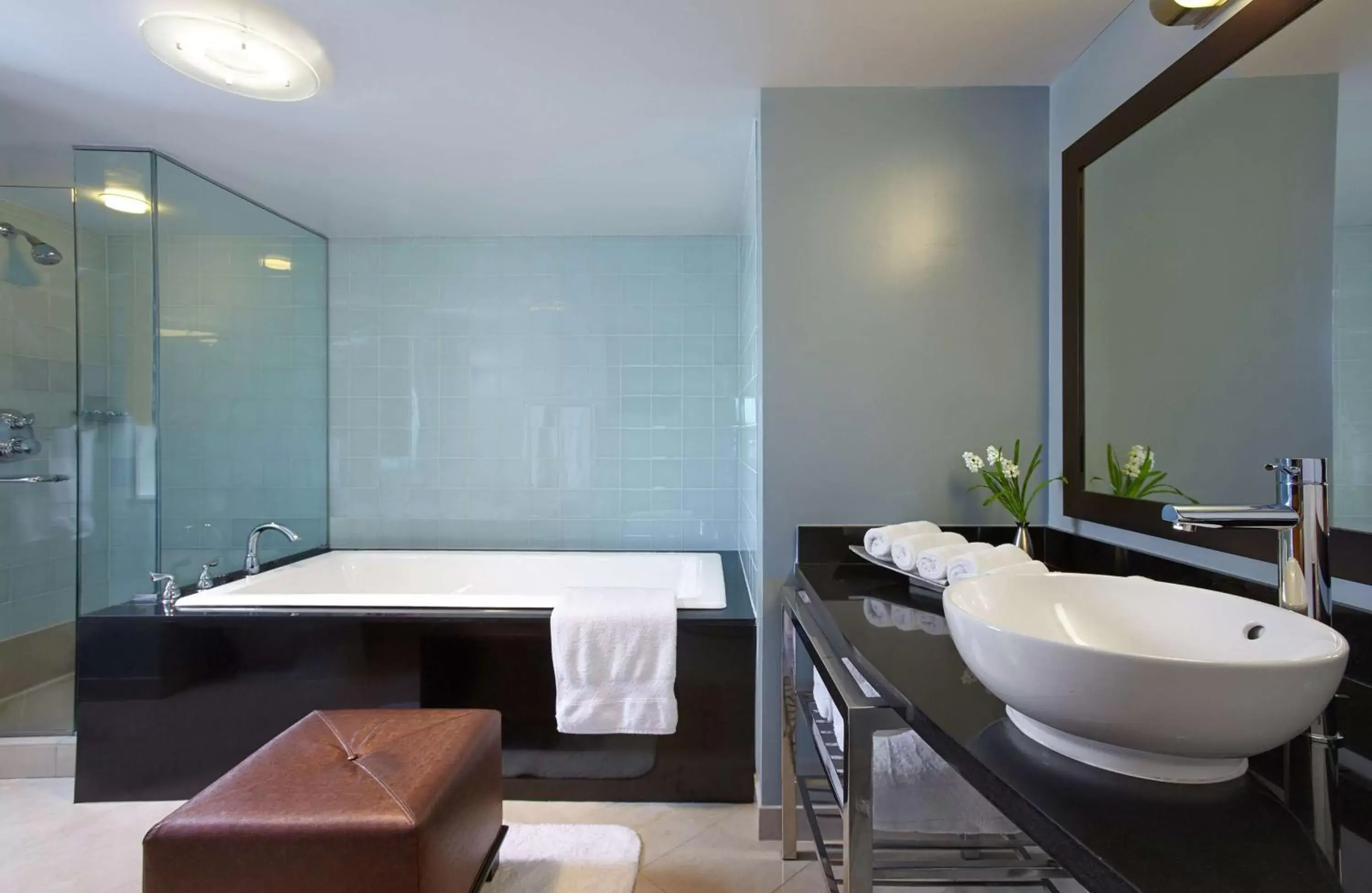 Bathroom in Hilton Club New York