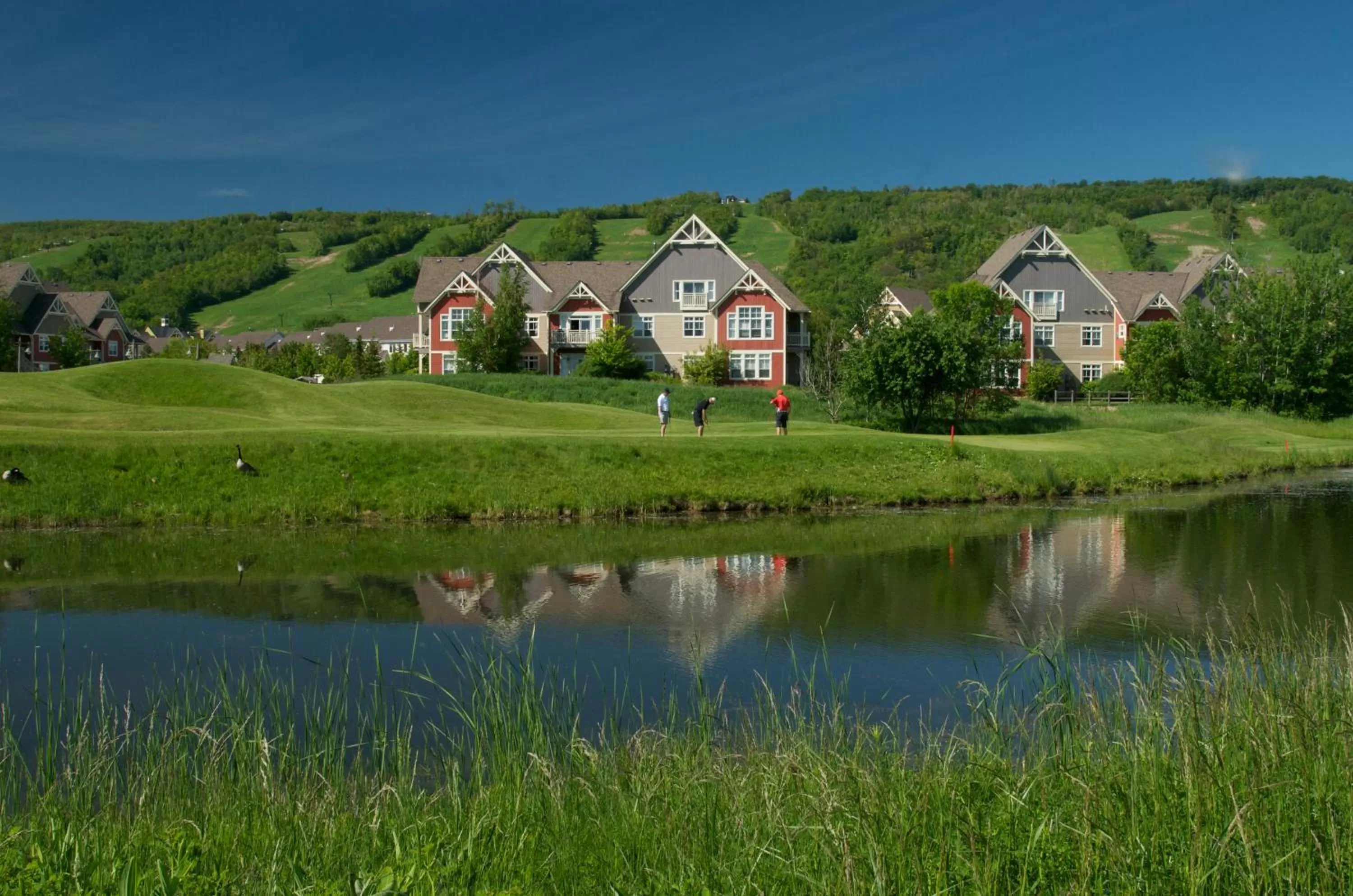 Blue Mountain Resort Home Collection