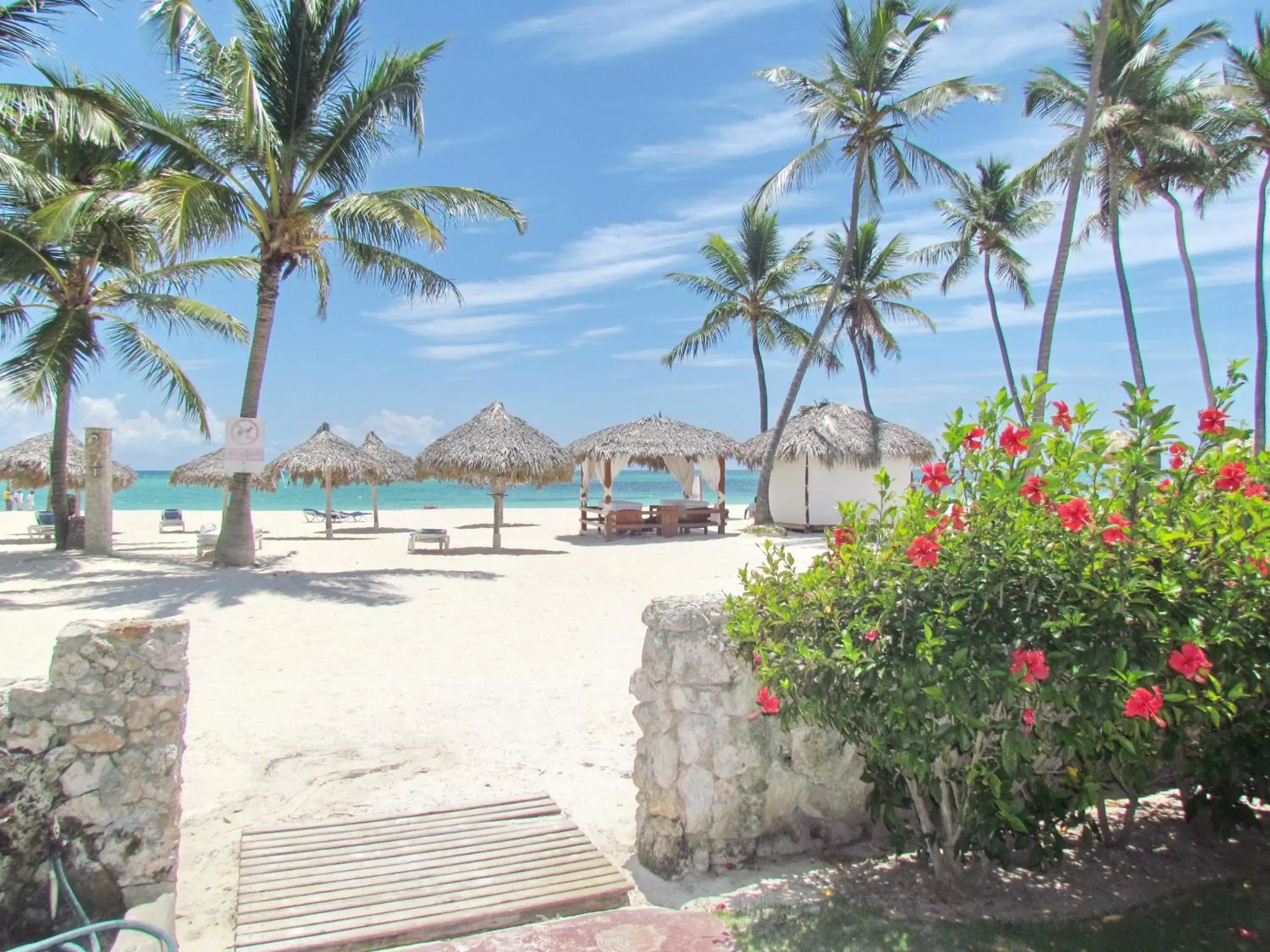 Beach in AVENTURA VILLAGE LOS CORALES BEACH and SPA