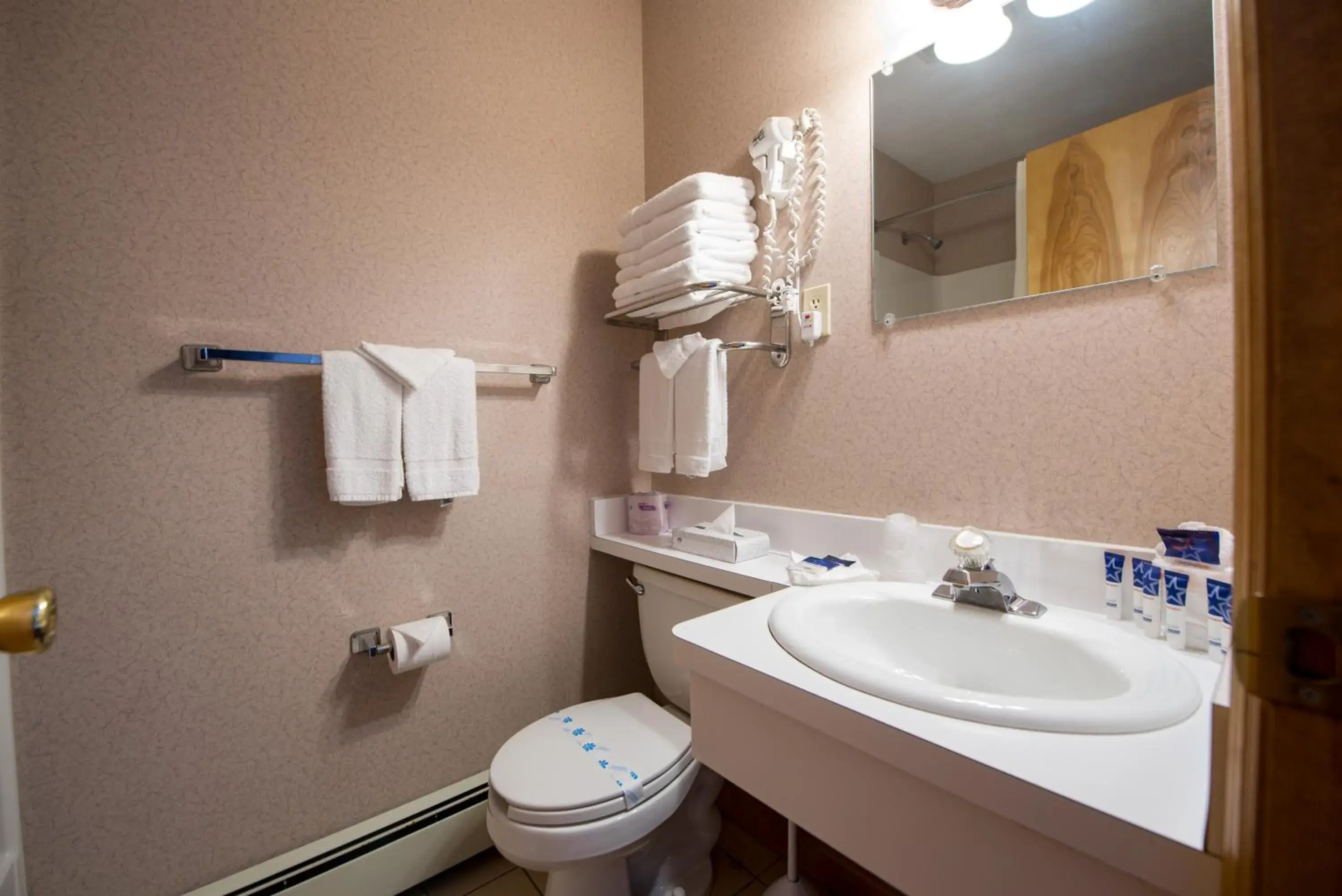 Toilet, Bathroom in Americas Best Value Inn & Suites Lake George