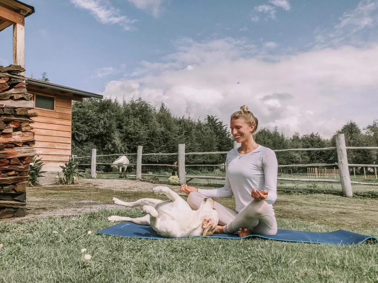 Hosteria Papagayo Cotopaxi