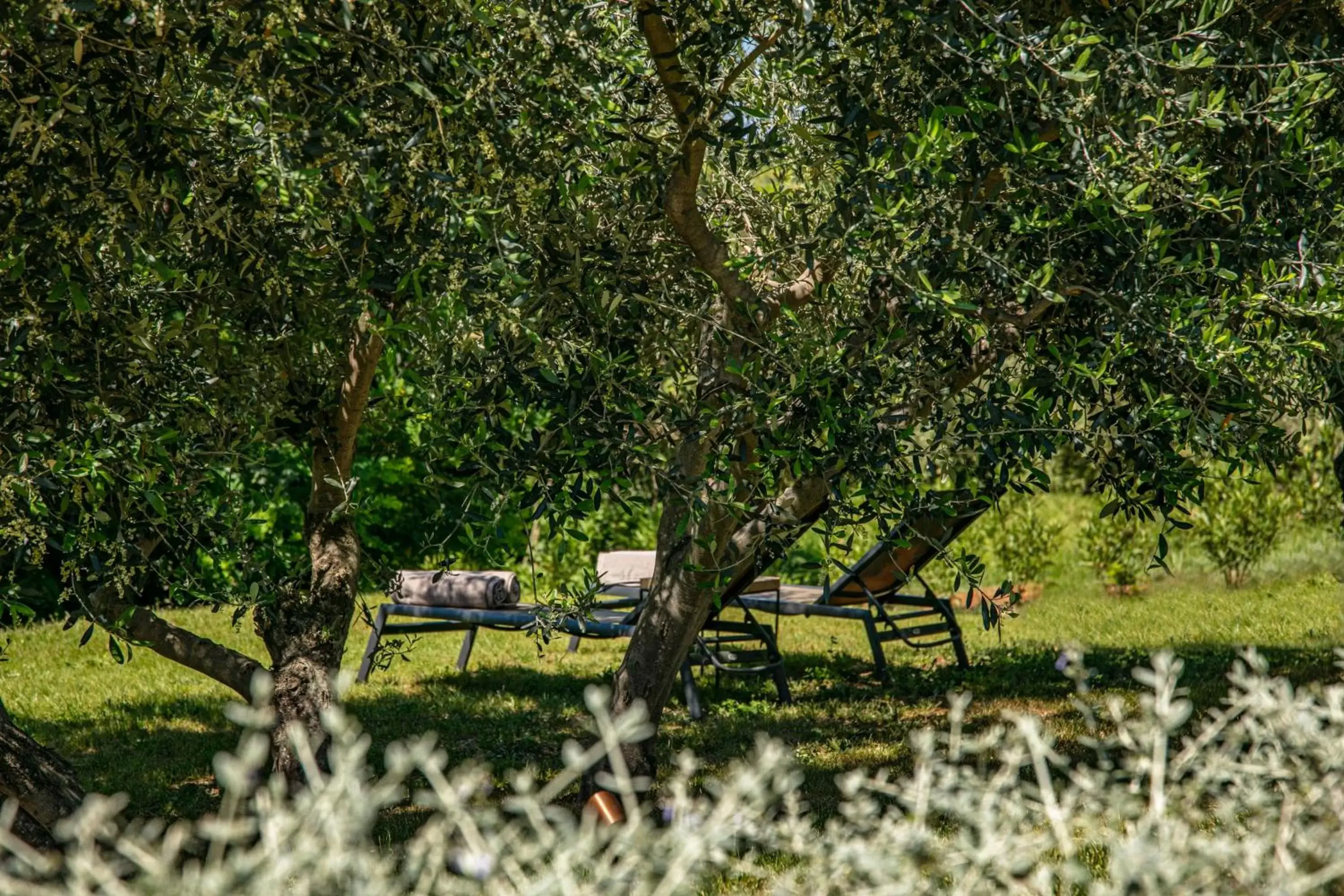 Spring, Garden in San Canzian Village & Hotel