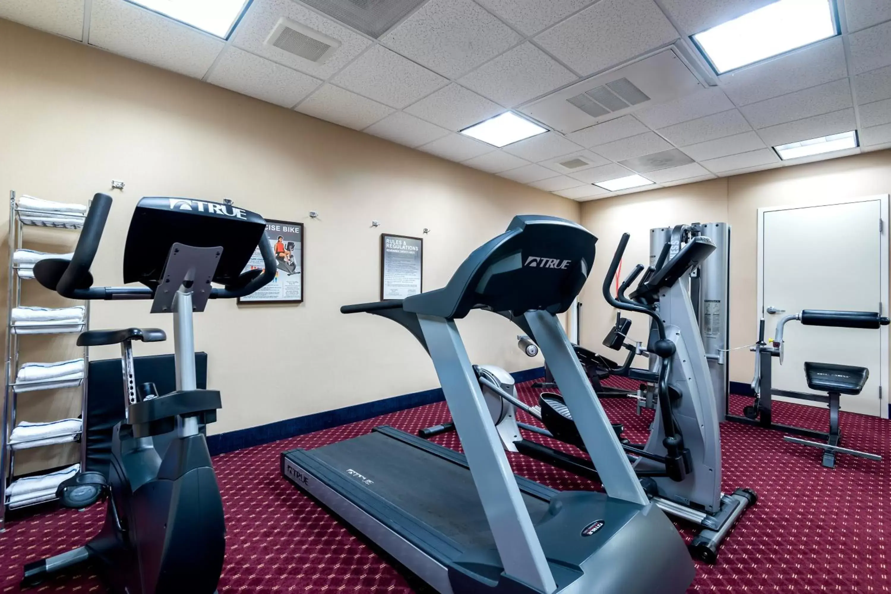 Fitness centre/facilities, Fitness Center/Facilities in Holiday Inn Express Lathrop - South Stockton, an IHG Hotel