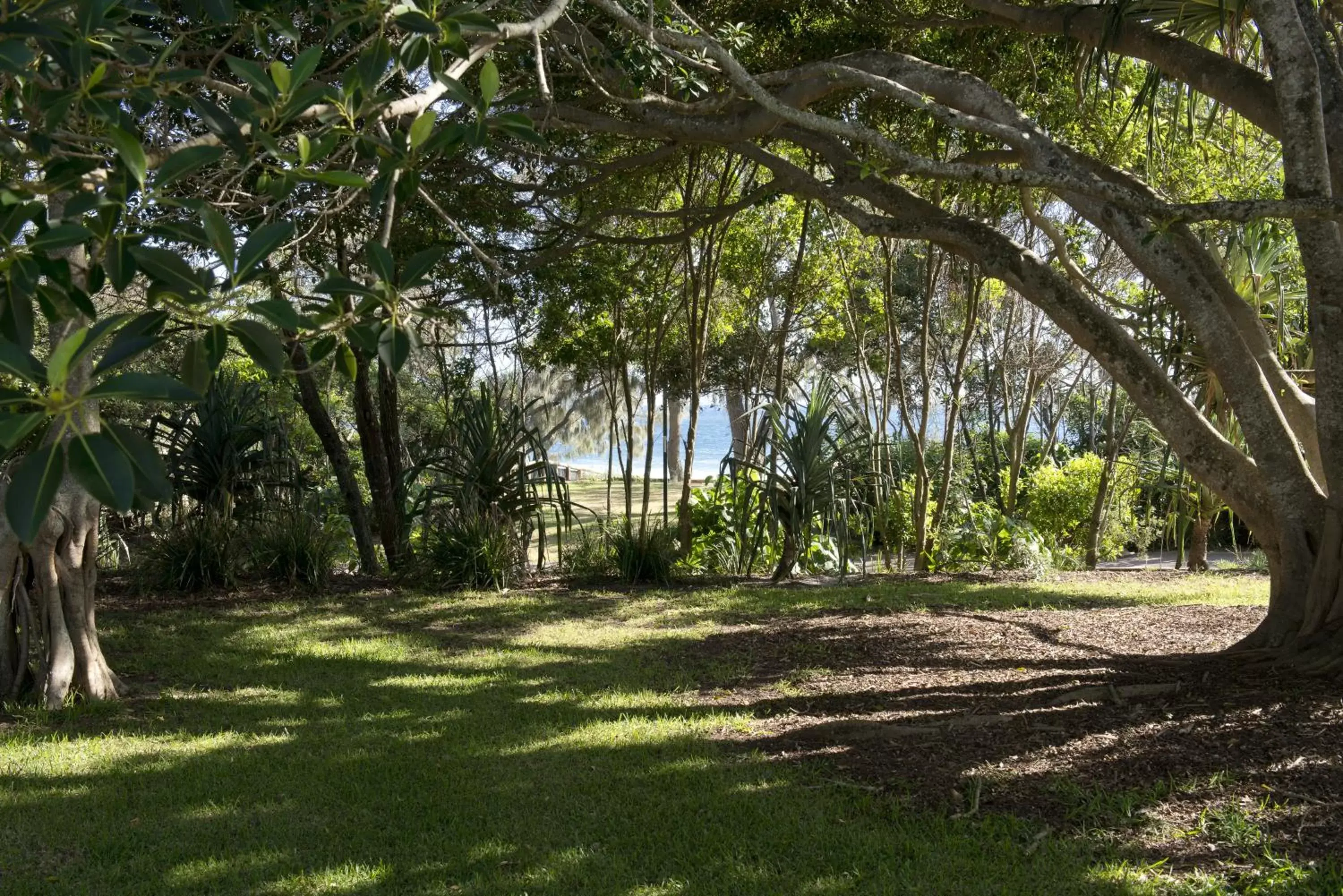 Day, Garden in SandCastles Noosa