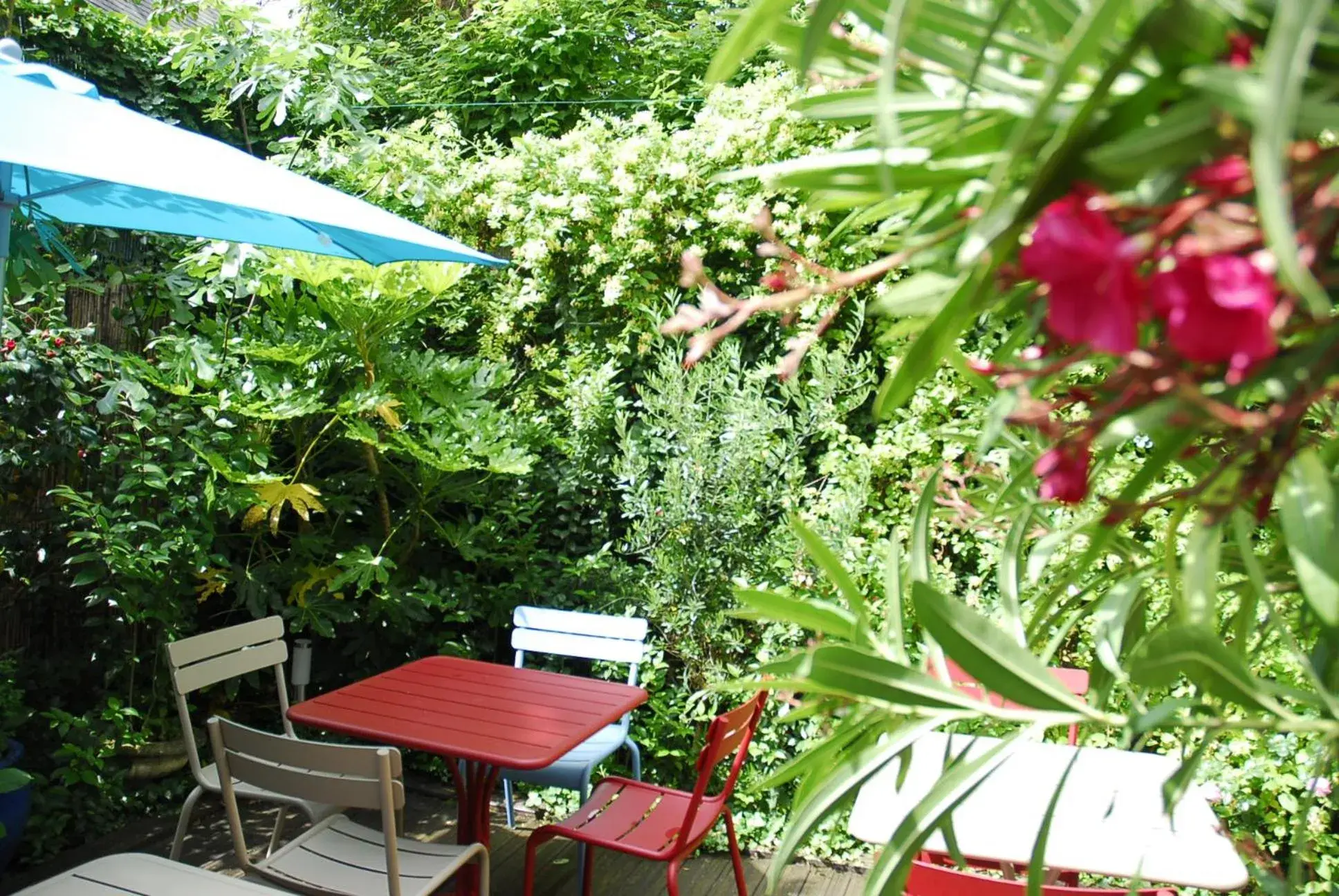 Garden in Hotel Mirabeau